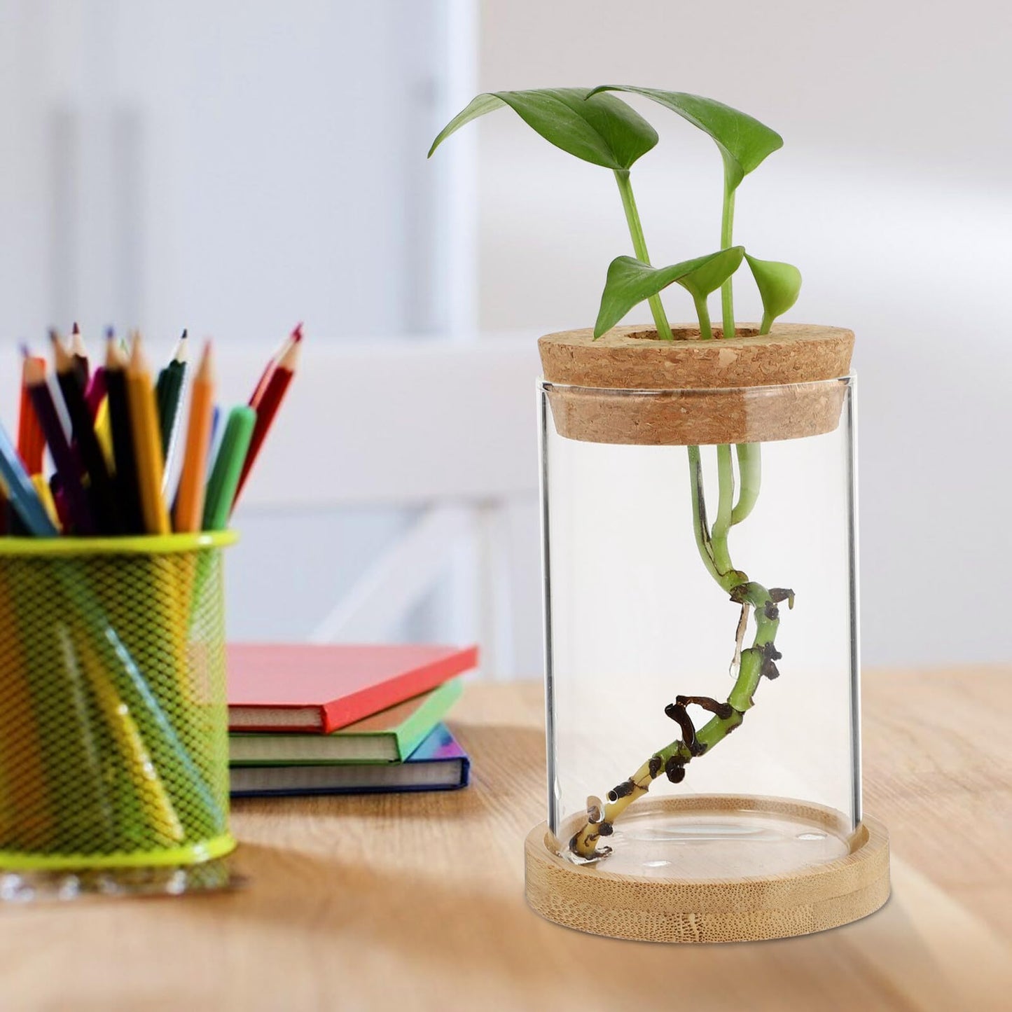Artibetter 2pcs Hydroponic Glass Plant Vases with Stand, 6.5x10 Inch Desktop Garden Decoration Terrarium Containers for Office and Home Hydroponics