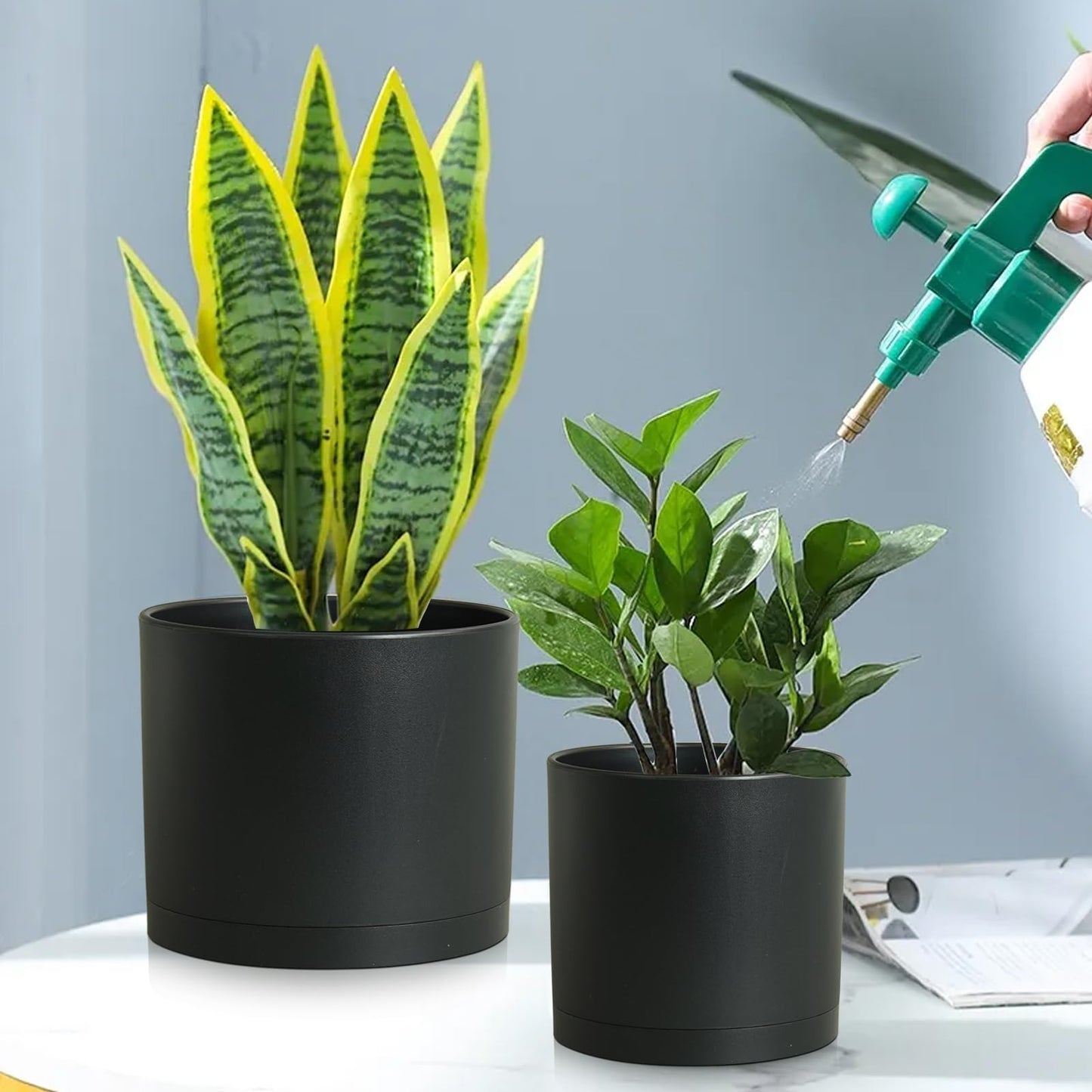 DGJDLWHX Large Plant Pots Set of 3 – 8", 9", 10" Indoor Flower Pots with Drainage Holes and Saucers, Big Planters for Monstera, Fiddle Leaf Fig, Snake Plant – 5 Colors
