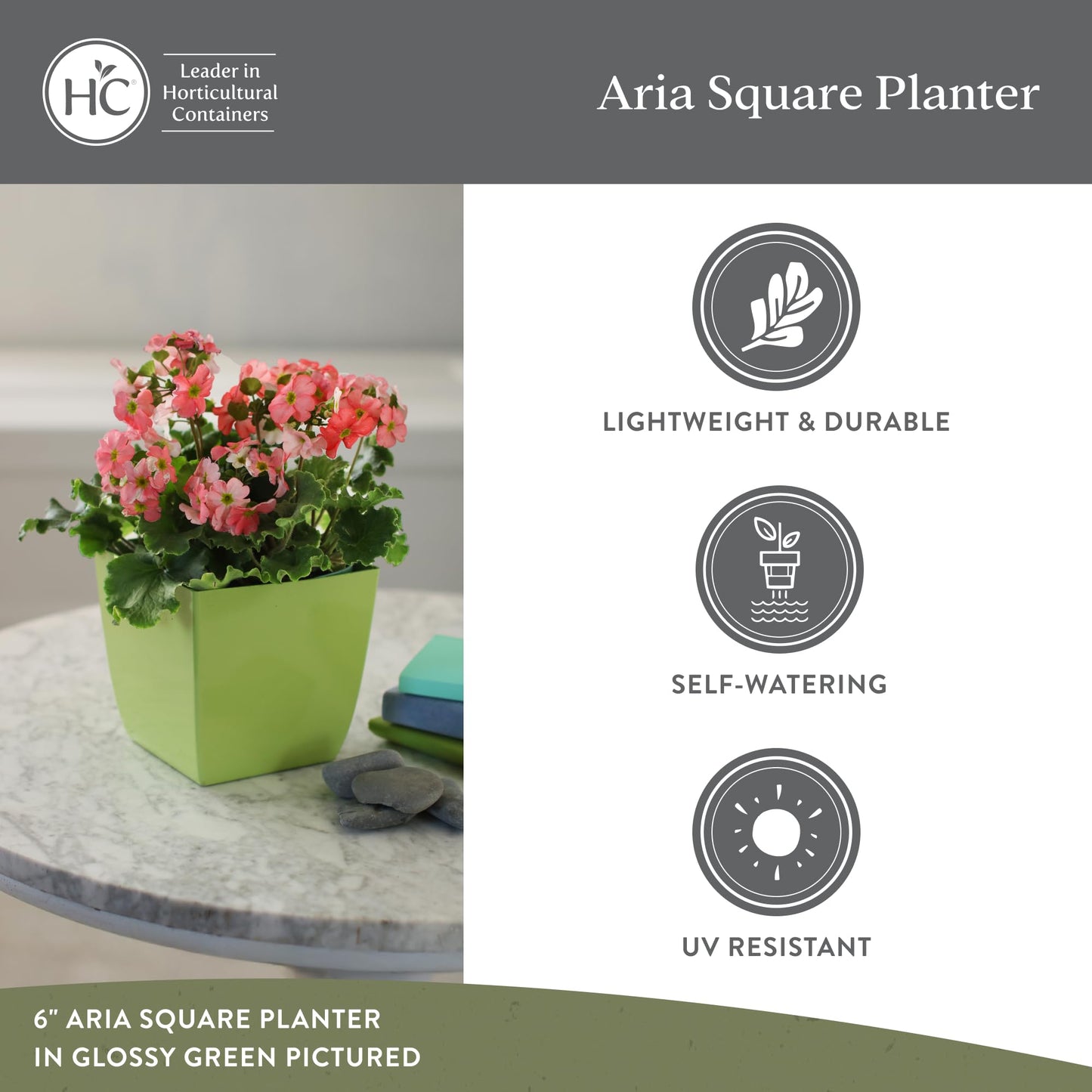 The HC Companies Aria Self Watering Square Plant Pot w/Drainage - Classic Planters for Outdoor Plants & Indoor Plants -Lightweight & UV-Resistant Plastic Pots for Plants (6" Beige, Pack of 1)