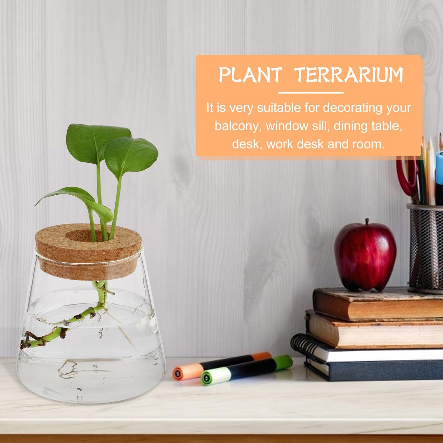 FUOYLOO Desktop Glass Vases for Hydroponics Plants, Stylish Terrarium Planter Wood Lid for Indoor and Hospitality Decor