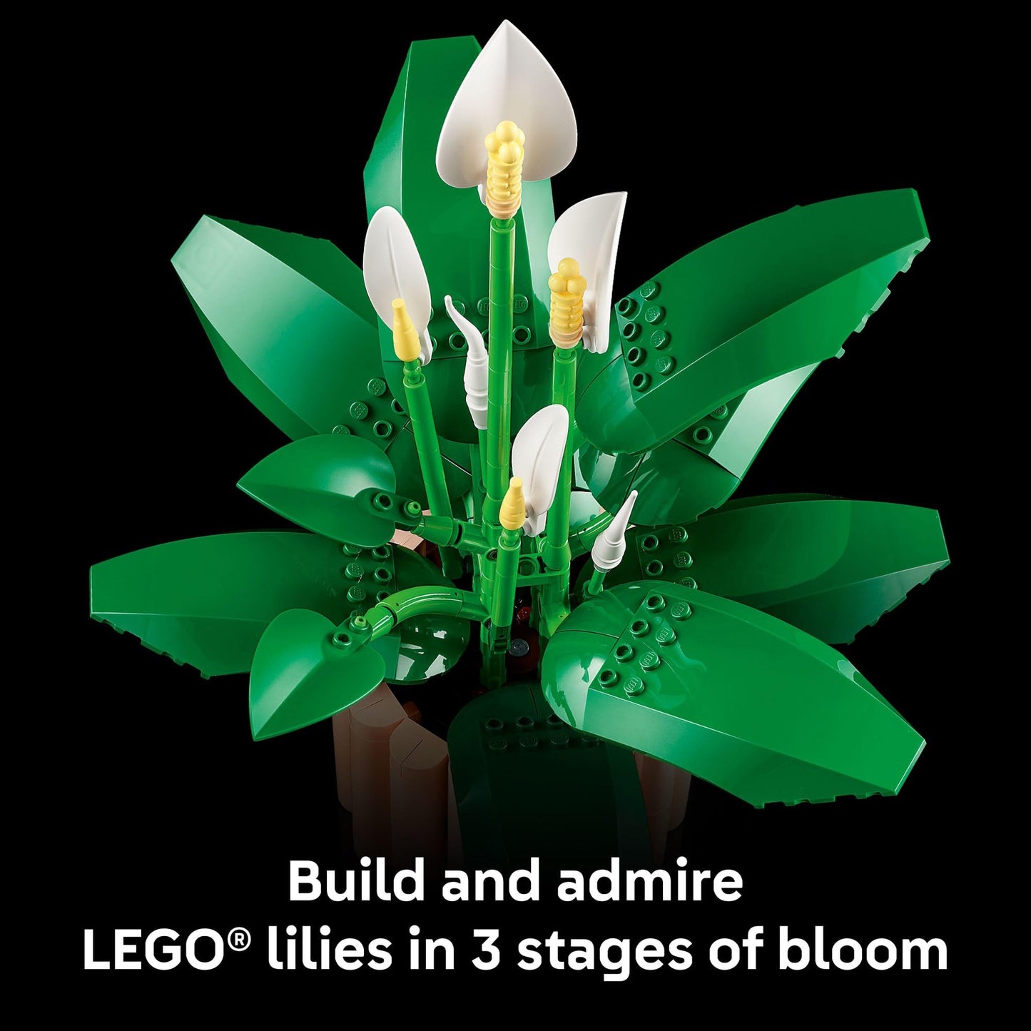 LEGO Botanicals Peace Lily Flower Building Set for Adults - Gifts for Birthdays - DIY Bedroom, Book Shelf & Office Decor for Women & Men, Ages 18+ - Artificial Flowers Crafting Kit - 11504