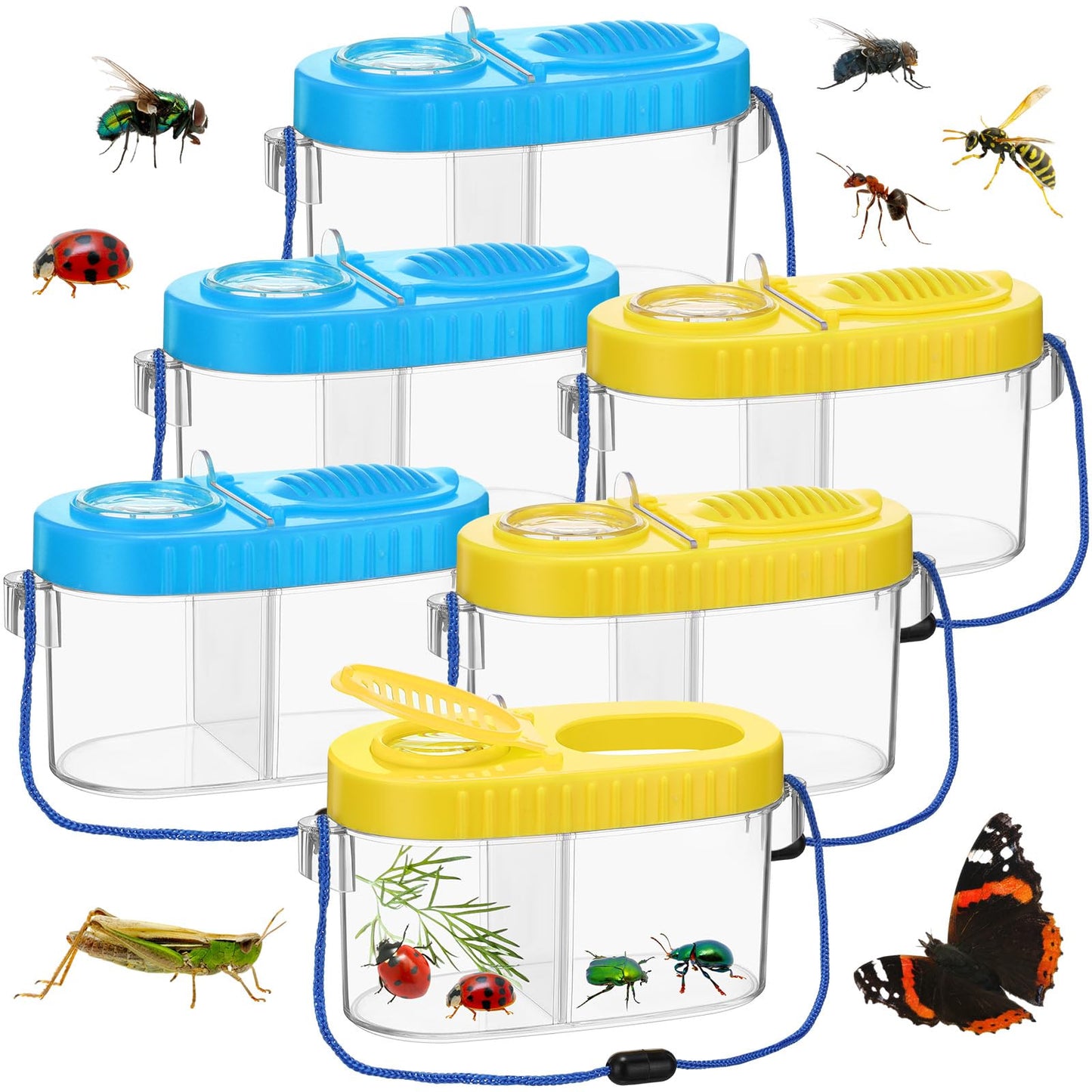6 Pack Bug Catcher Kit for Kids Bulk Insect Habitat Viewer with Magnifying Glass Vents Portable Bug Collection Cage with Lanyard Nature Outdoor Explorer Set for Boys Girls Birthday Gift(Yellow，Blue)