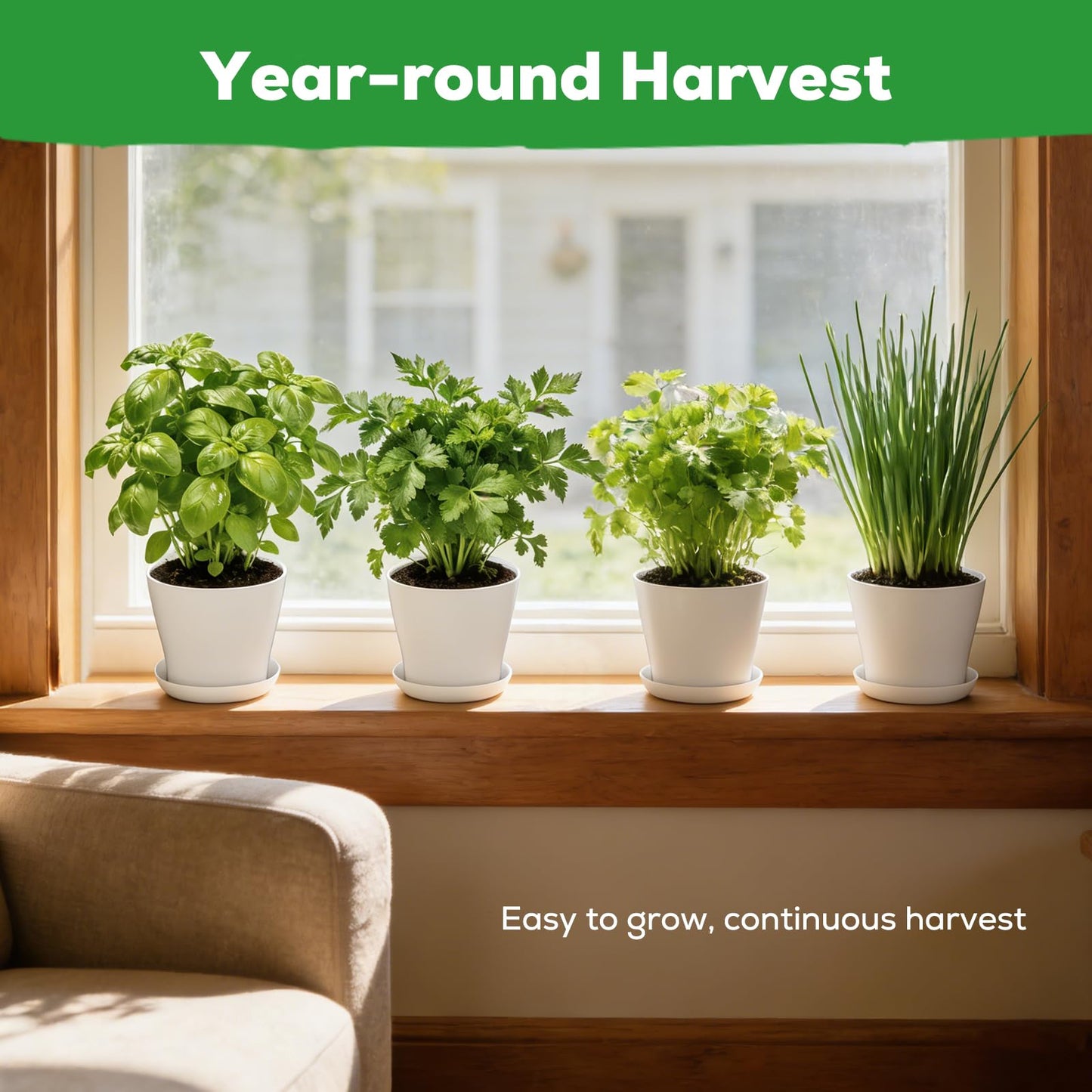 PLANTMEW Indoor Herb Garden Starter Kit - Mothers Day Gifts - 4 Non GMO, Heirloom Culinary Herb Seeds, Unique Gardening Gift for Women, Mom, Her, Birthday, Housewarming, Plant Lovers