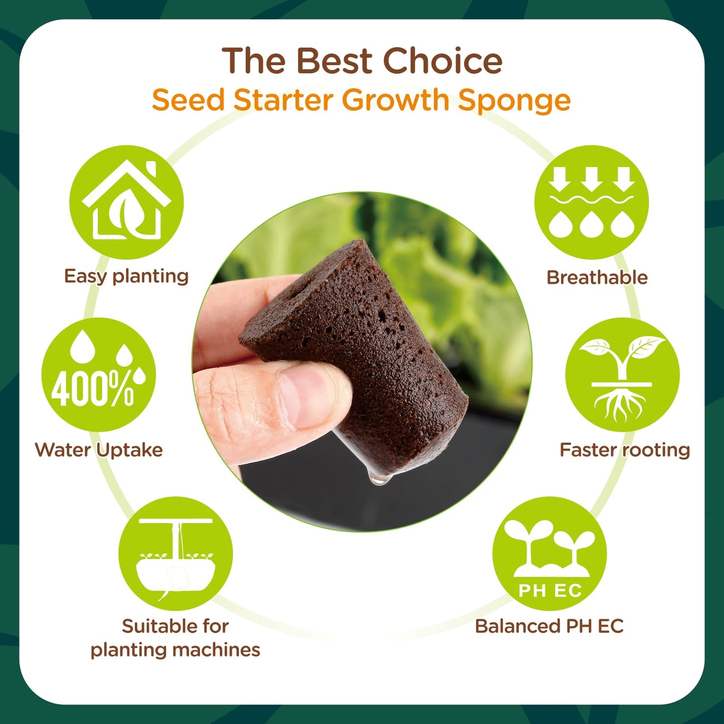 70 Pack Grow Sponges, Starter Plug for Seeds or Cuttings, General Hydroponics Rapid Rooter Plugs for Seedling Herbs Lettuce Vegetable Flower, Great for Soil or Hydroponics Growing System (Cylinder)