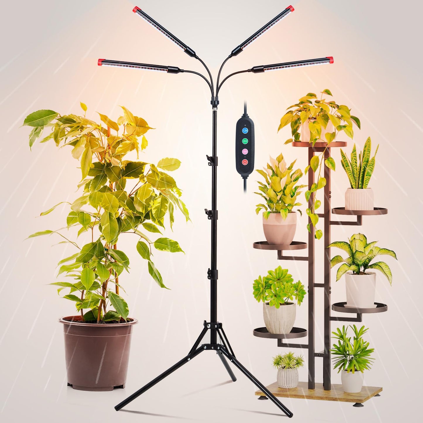 FRGROW 4Head Grow Light with Stand for Tall Indoor Plants, Bonsai Tree, Bright Full Spectrum Plant Growing Lamps, 4/8/12/16/20H Timer, 36 Watt Power Draw, NO Need Adapter, 360° Gooseneck