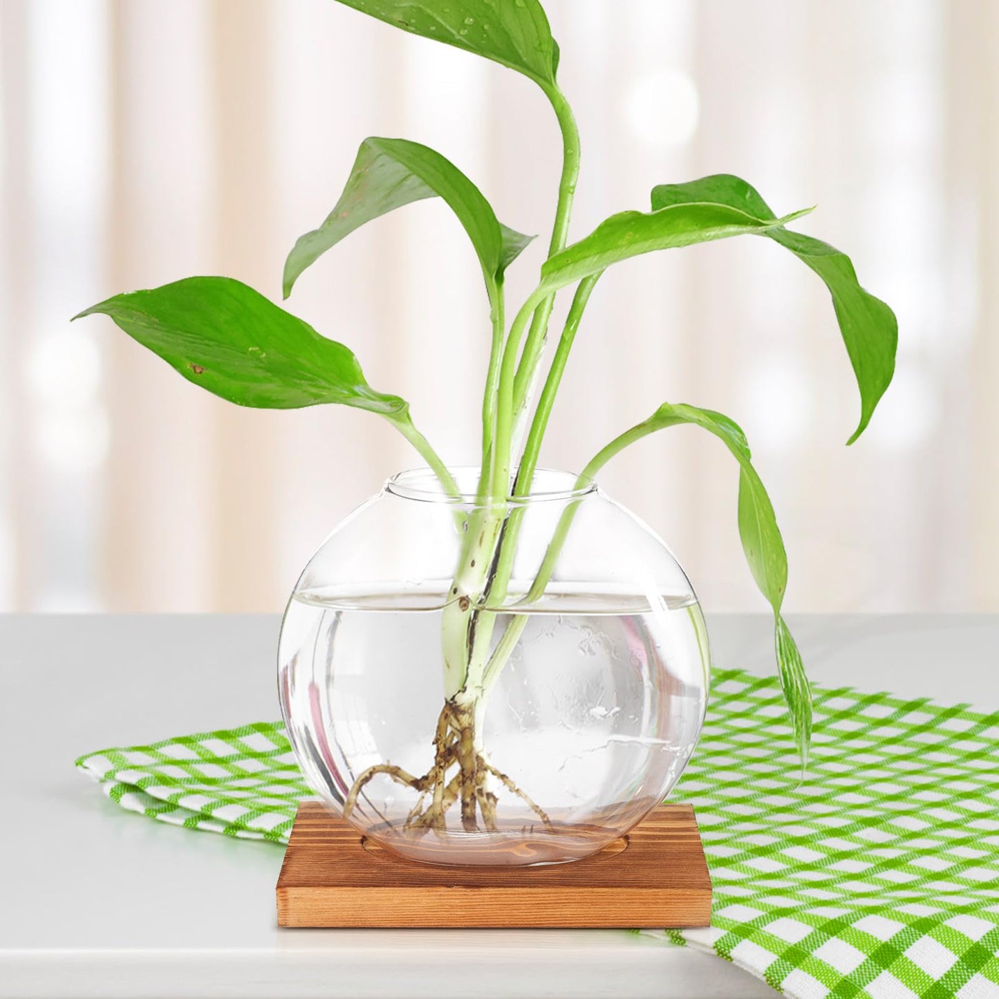 OSOLADY Glass Hydroponic Vase with Wooden Base, Plant Propagation Station for Office and Home Décor, Tabletop Glass Terrarium Hydroponics Display Ornament