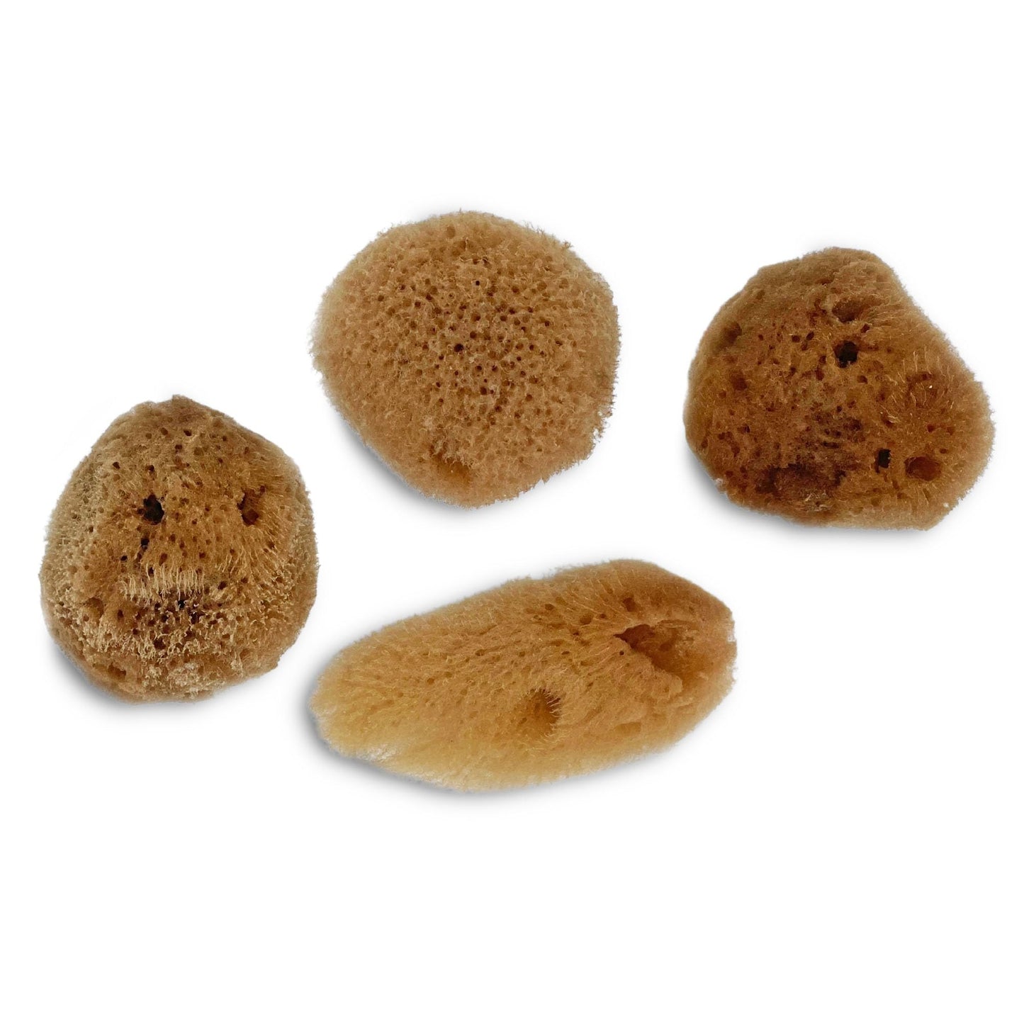 Lullingworth® Artist Natural Sea Sponges: Unbleached 10 Pack 2-4 inch Value Tool Set-Faux Painting Effects, Acrylic Paint, Watercolor, Texturing, Marbling, Clay, Pottery, Ceramics, Crafts & Hobby