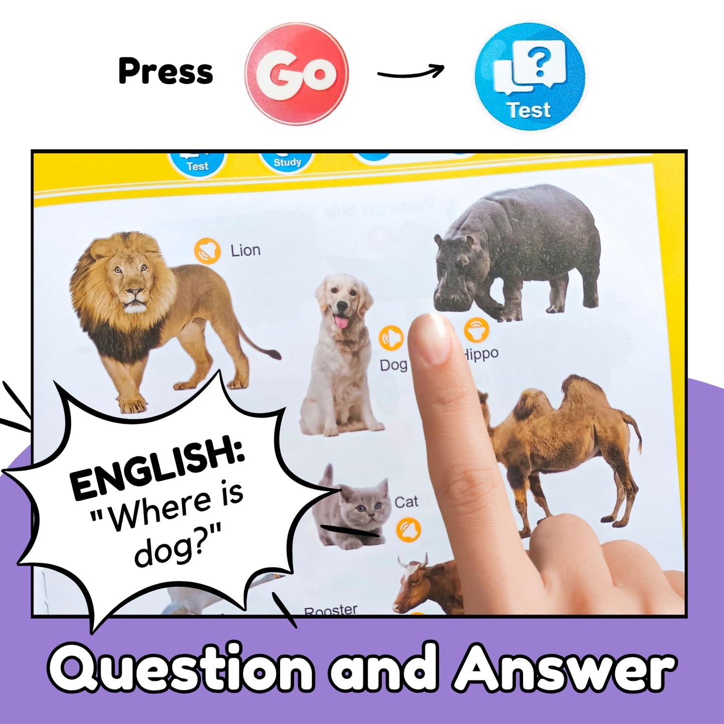 ZeenKind English Words Sound Book for Kids Toddlers 3,4,5 Years Old, 300+ Words Talking Interactive Audio Books for Early Learning English, and Educational Electronic Toy
