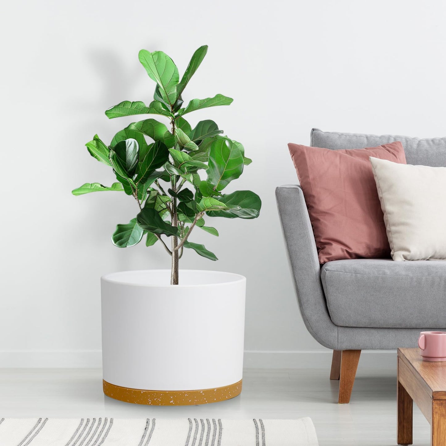 DGJDLWHX Large Plant Pots Set of 3 – 8", 9", 10" Indoor Flower Pots with Drainage Holes and Saucers, Big Planters for Monstera, Fiddle Leaf Fig, Snake Plant – 5 Colors