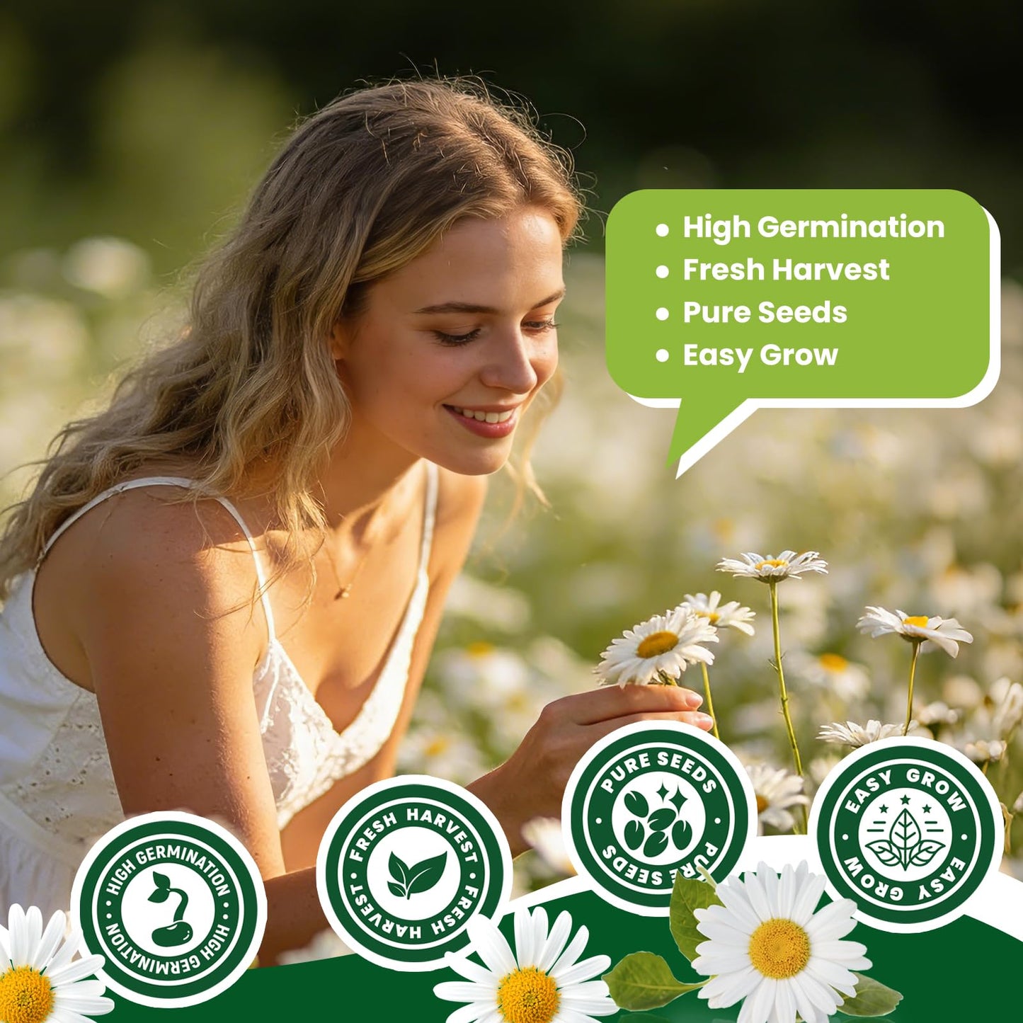 Fruivity 2300+ German Chamomile Seed Pack, Perennial Seeds for Planting, Herb Seed to Plant, Easy to Grow, High Germination, for Home Garden Indoor Outdoor