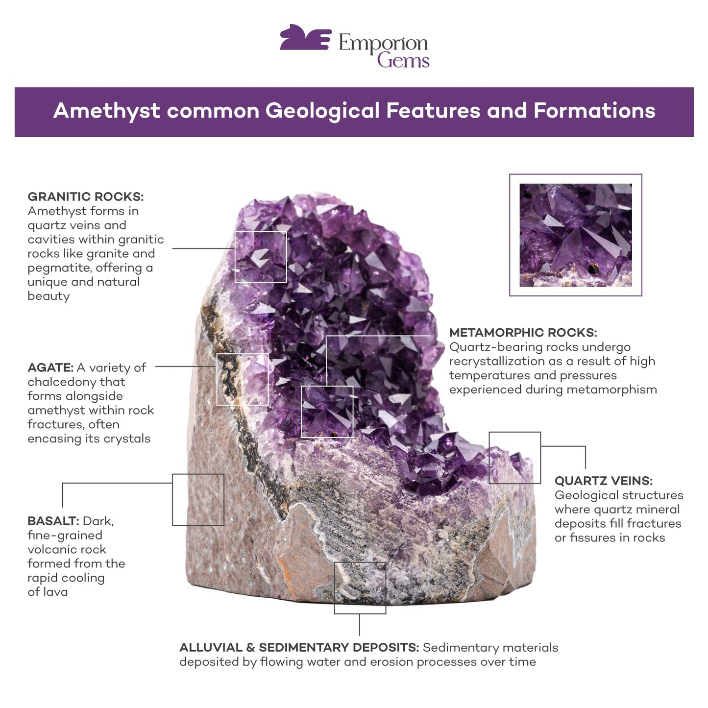 EMPORION Natural Amethyst (2 lb to 3 lb) - 4" to 7" Height - Crystal Clusters Stone from Uruguay Raw Geode Quartz - Deep Purple Color