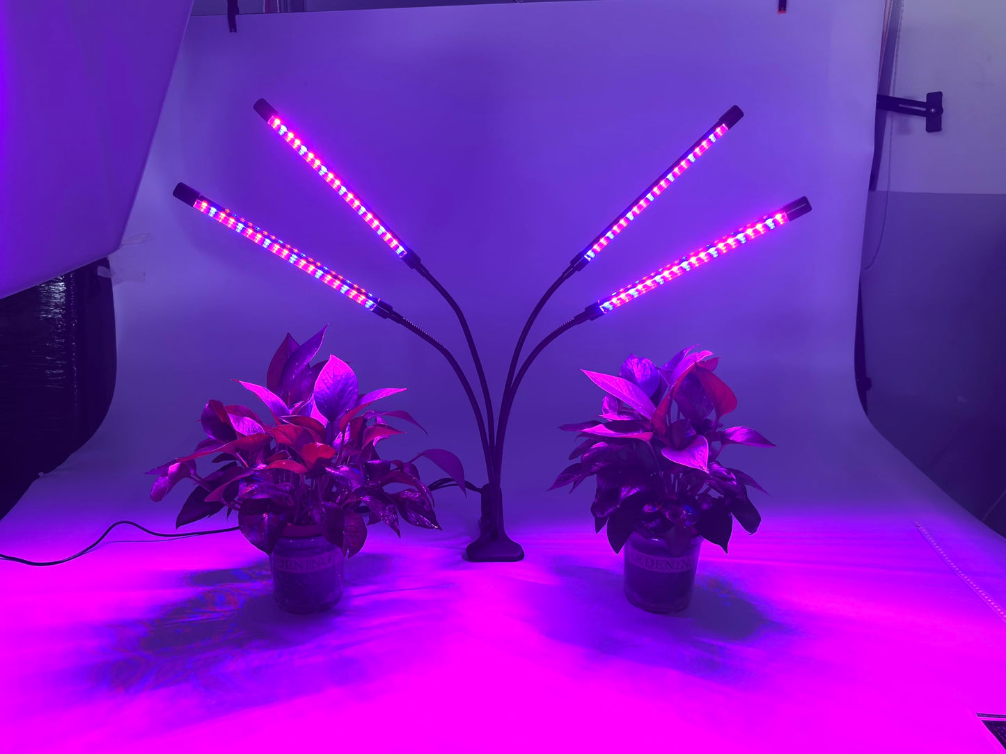 H HNMA HN Full Spectrum 4 Heads LED Plant Grow Light with Flexible Gooseneck, 3/9/12H 3 Modes 10 Dimmable Levels, 160 LEDs Clip On Grow Light for Indoor Plants, Seed Starting, Flowers & Vegetables