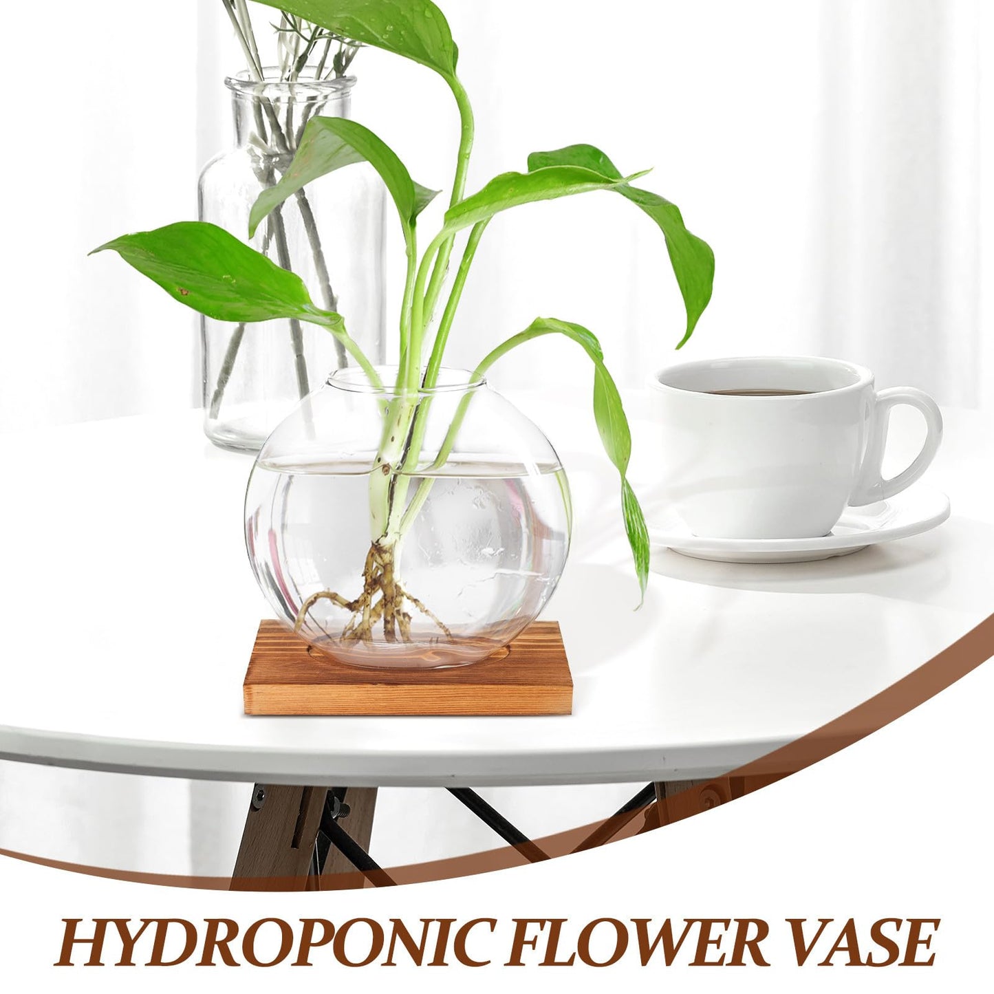 BESPORTBLE Hydroponic Glass Plant Vase with Wood Base, Glass Propagation Station for Desk Decorations, Indoor Home and Office Terrarium Planter for Greenery Display