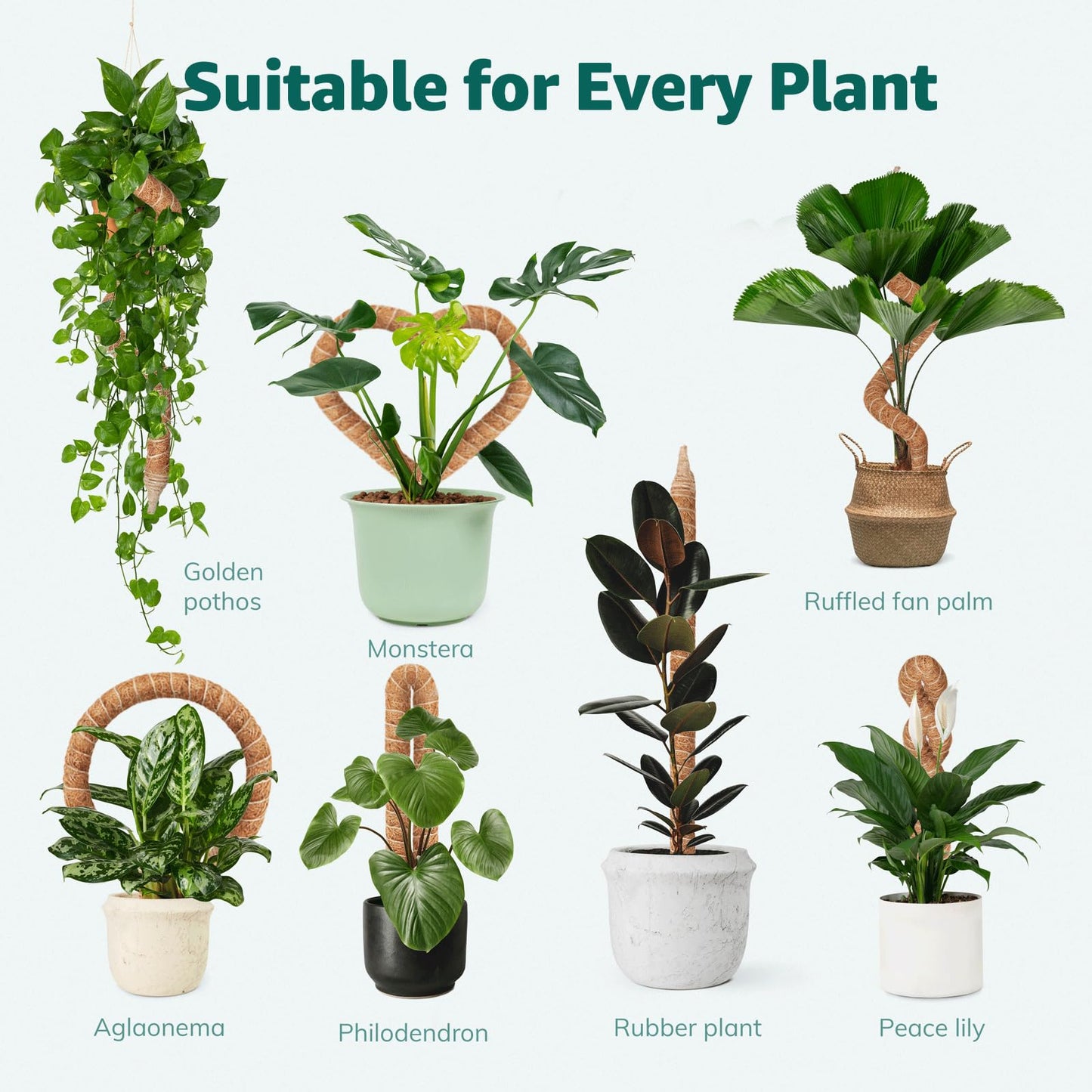 Vanut 2-Pack 35in Moss Poles for Climbing Plants, Adjustable Plant Support Sticks for Monstera, Pothos Vines, Philodendron, Fishbone Cactus & Indoor Tropical Houseplants, Coco Coir