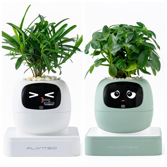 PLANTSIO Gen2 Ivy Intelligent Flower Pot for Home Decoration Plants Companion Neat Desk Setup Gift Smart Pet Planter Robot Guidance on Plant Care with Emojis