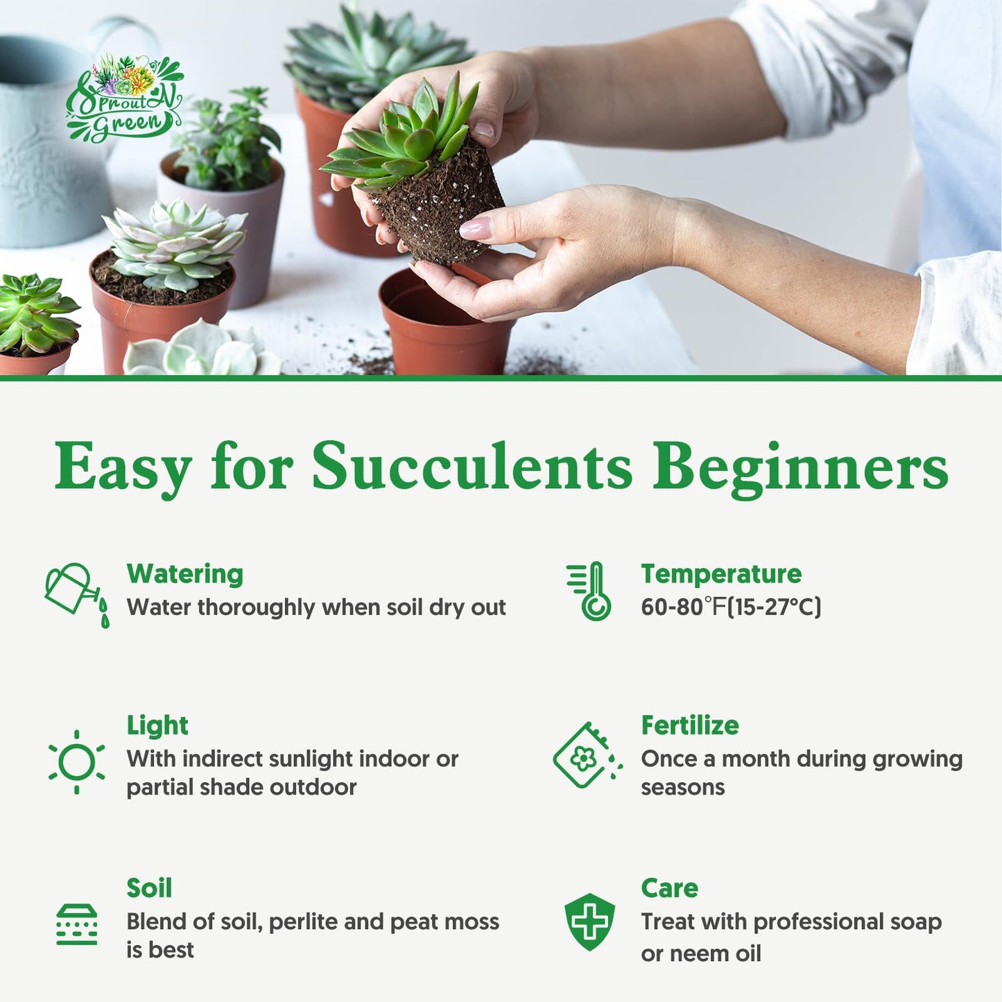 Sprout N Green Echeveria Mexican pulidonis, Live Rare Succulent Potted 4" Planter, Real House Plant for Party Favors Home Indoor Outdoor Garden Wedding Decoration DIY Projects
