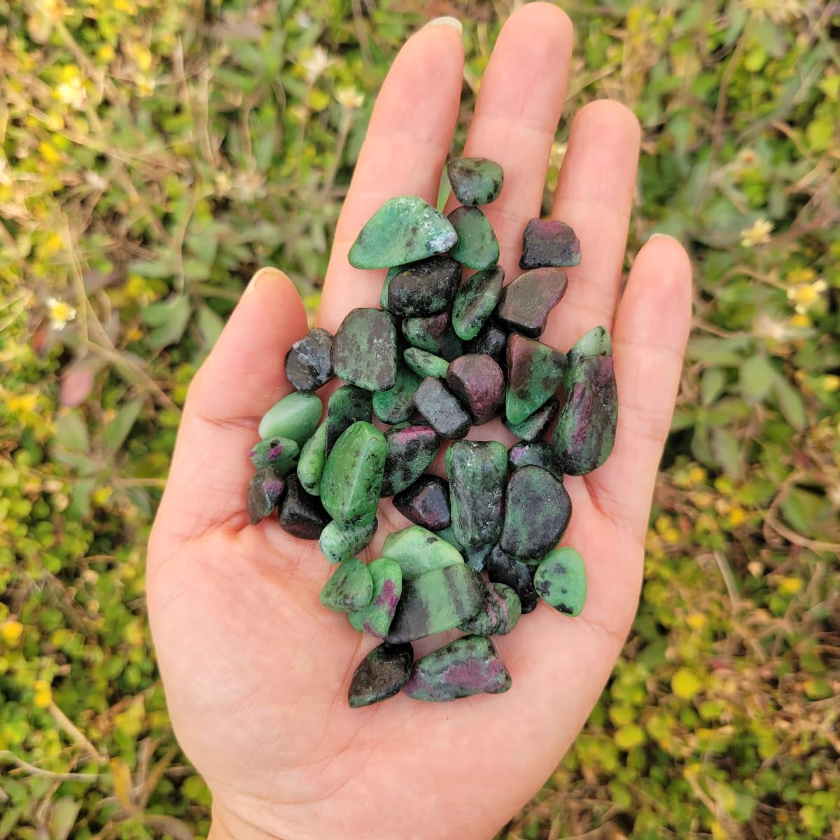 1,000 Carats Ruby in Zoisite Handpicked Tumbled Stones Crystals Chips Bulk Pocket Stones for Healing, Reiki, Meditation, Witchcraft and Home Decorations (Ruby in Zoisite)