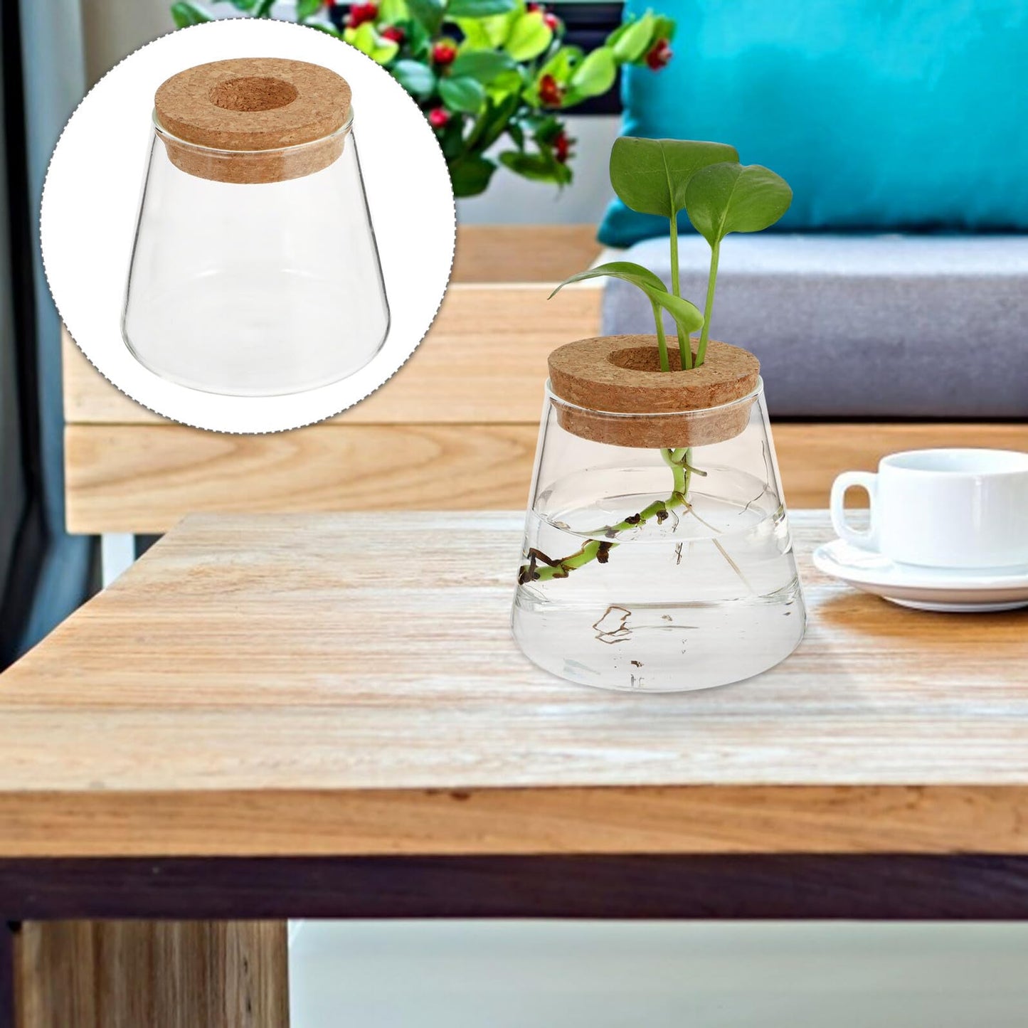 DOITOOL 2pcs Hydroponic Glass Planting Pots Small Terrarium Vase with 6.5cm Opening for Indoor Garden Decoration and Water Plant Propagation