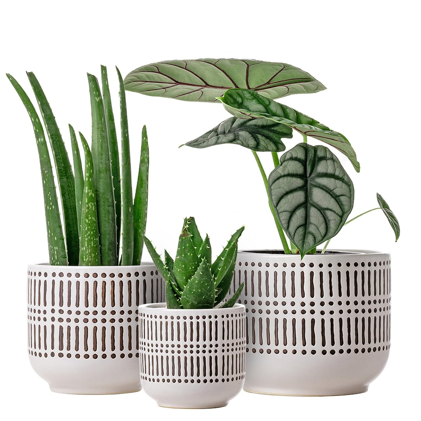 Docrin 3-Pack Ceramic Planters Set - 6.5"+5.3"+4" Dual-Tone Flower Pots with Drainage Holes, Modern Indoor Outdoor Planters for Succulents/Herbs/Large Plants, Home Office (Brownish Black & White)