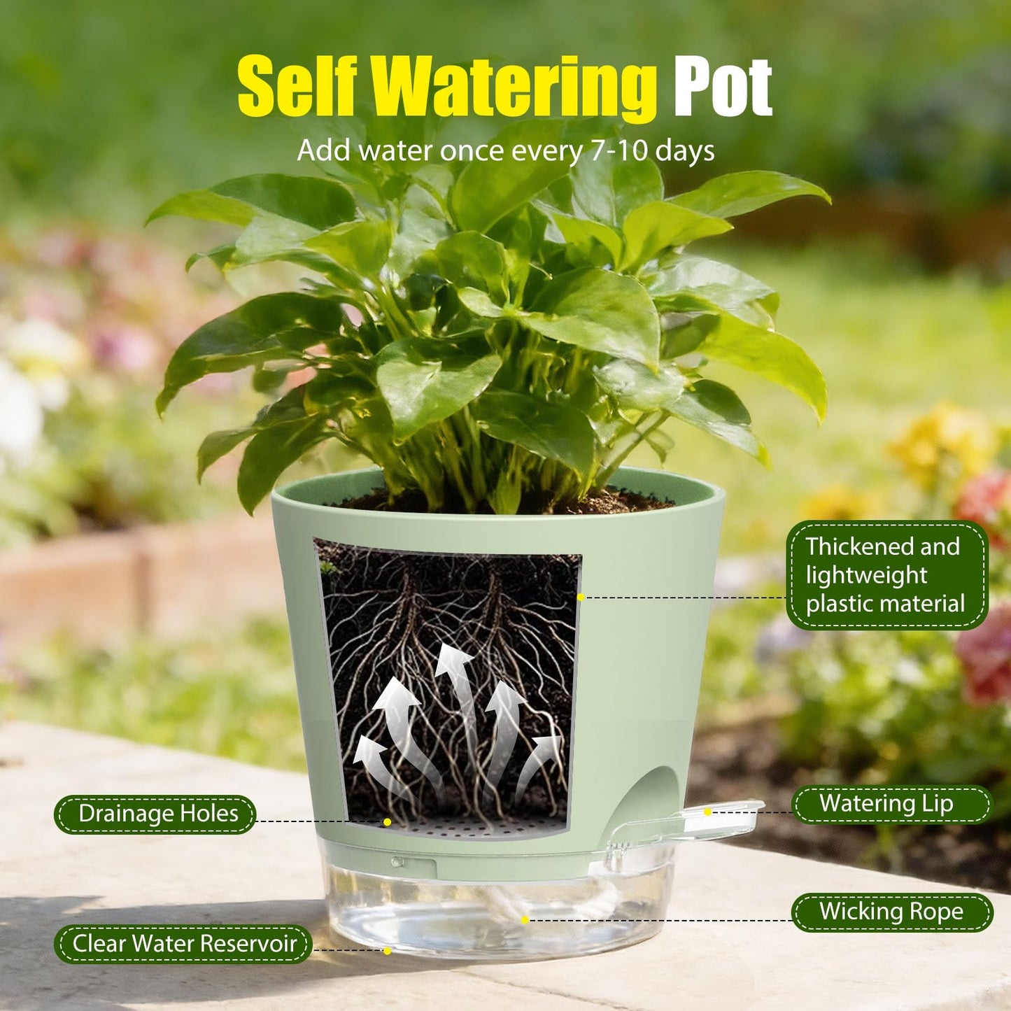 SQKH Plant Pots 8 Inch Self Watering Pots, 2 Pack Plastic Planters with Drainage Holes and Clear Saucers,Plastic Flower Pots for Indoor Out Door Plants (Green)