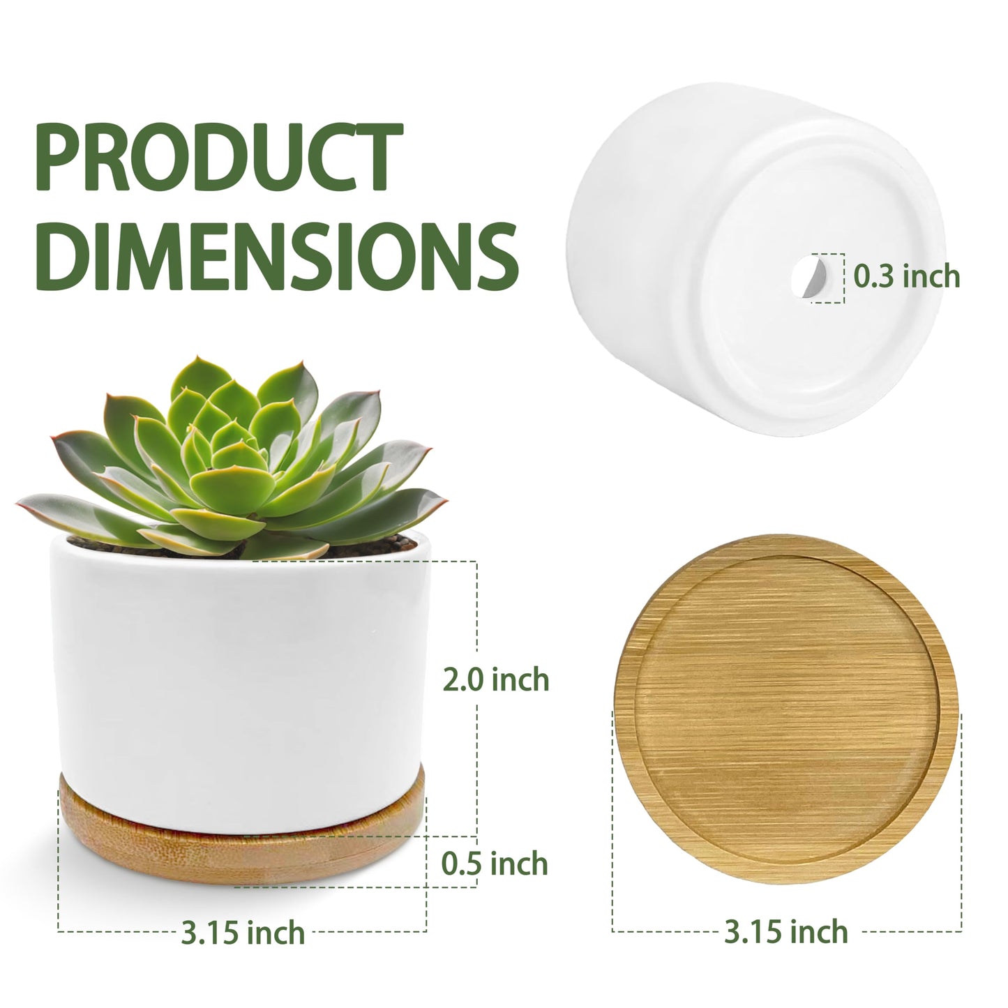 EVIHCG Funny Black Cat Planter Pots, Cat Lovers Gifts for Women Men, It's Fine I'm Fine Sarcastic Ceramic Succulent Plant Flower Planters for Home Office Desk Table Shelf(No Plants)