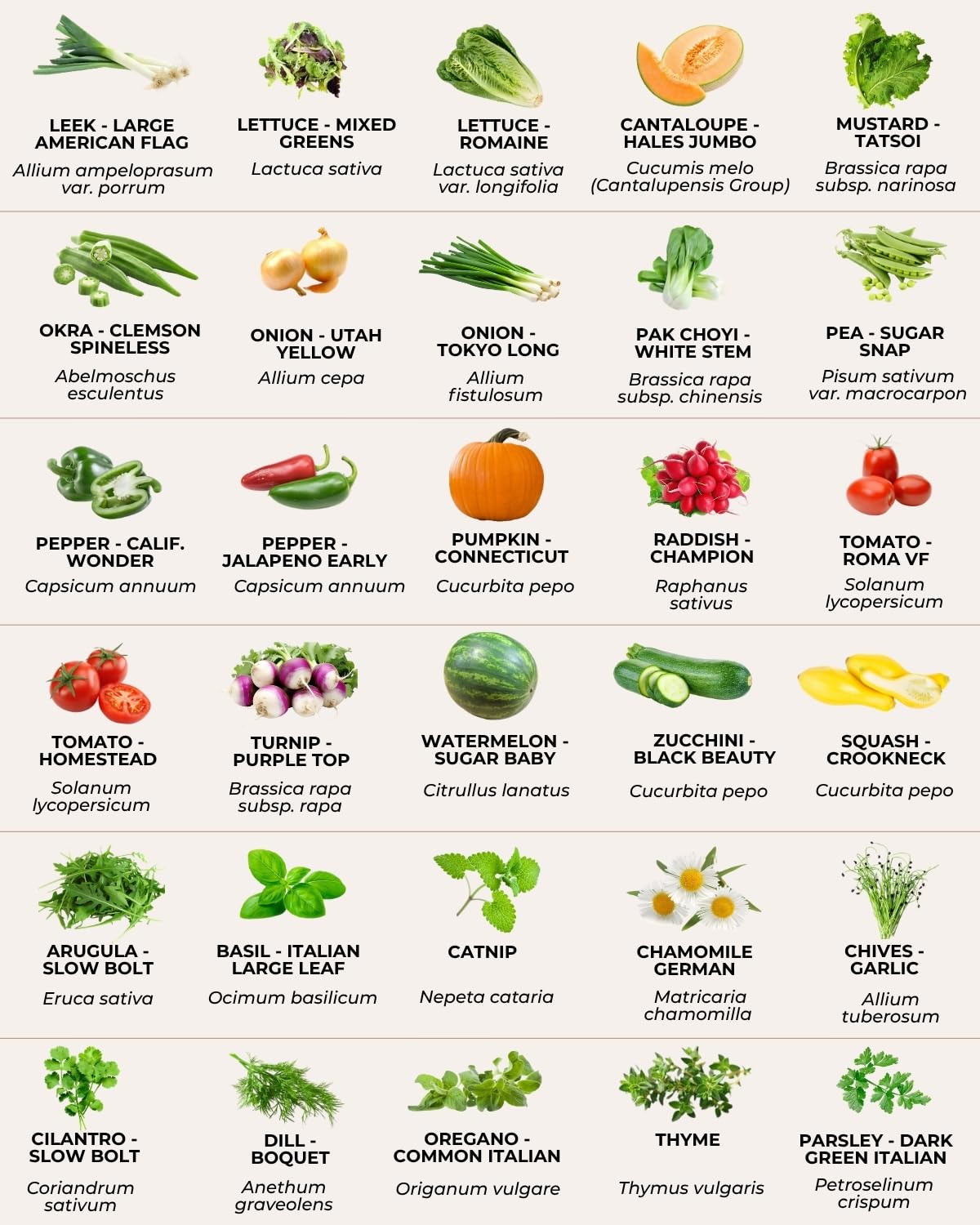 50 Tactiko Survival Vegetable, Herb & Fruit Seed Kit - U.S.A. Harvested Varieties - 37,000+ Non-GMO Heirloom Seeds - Emergency Seed Vault in Waterproof Mylar Bag - Long-Term Storage