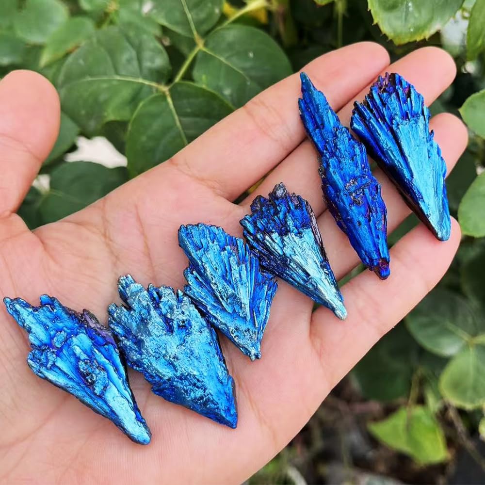 Natural Black Tourmaline Titanium Coated Quartz Crystal | Electroplated Peacock Iridescent Healing Stone Mineral Specimen for Home Decor, Reiki, Chakra Balancing 1-1.6"(Black Tourmaline 460g Set)