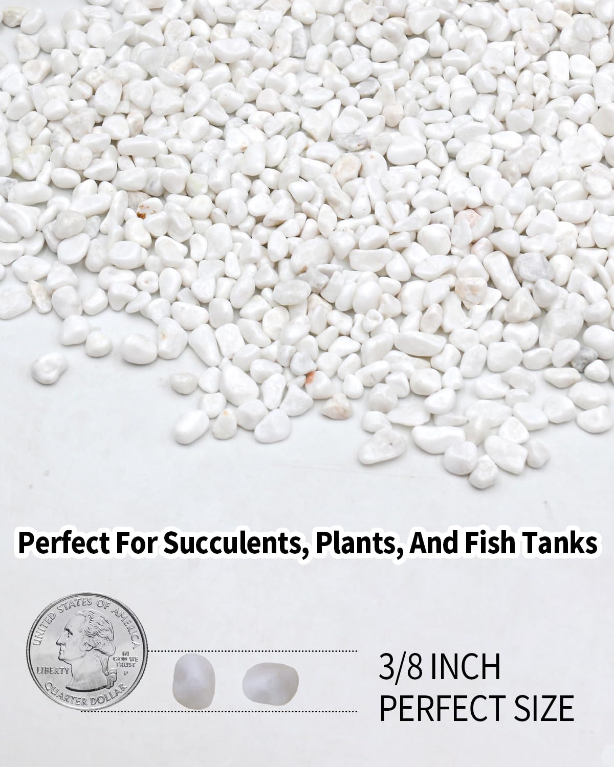 FAHAXIKI 6LB White Succulent & Cactus Gravel Pebbles - 1/4-3/8 Inch Natural Polished River Rocks, Decorative Stones for Plants, Terrariums, Vases, Aquariums & Outdoor Gardening