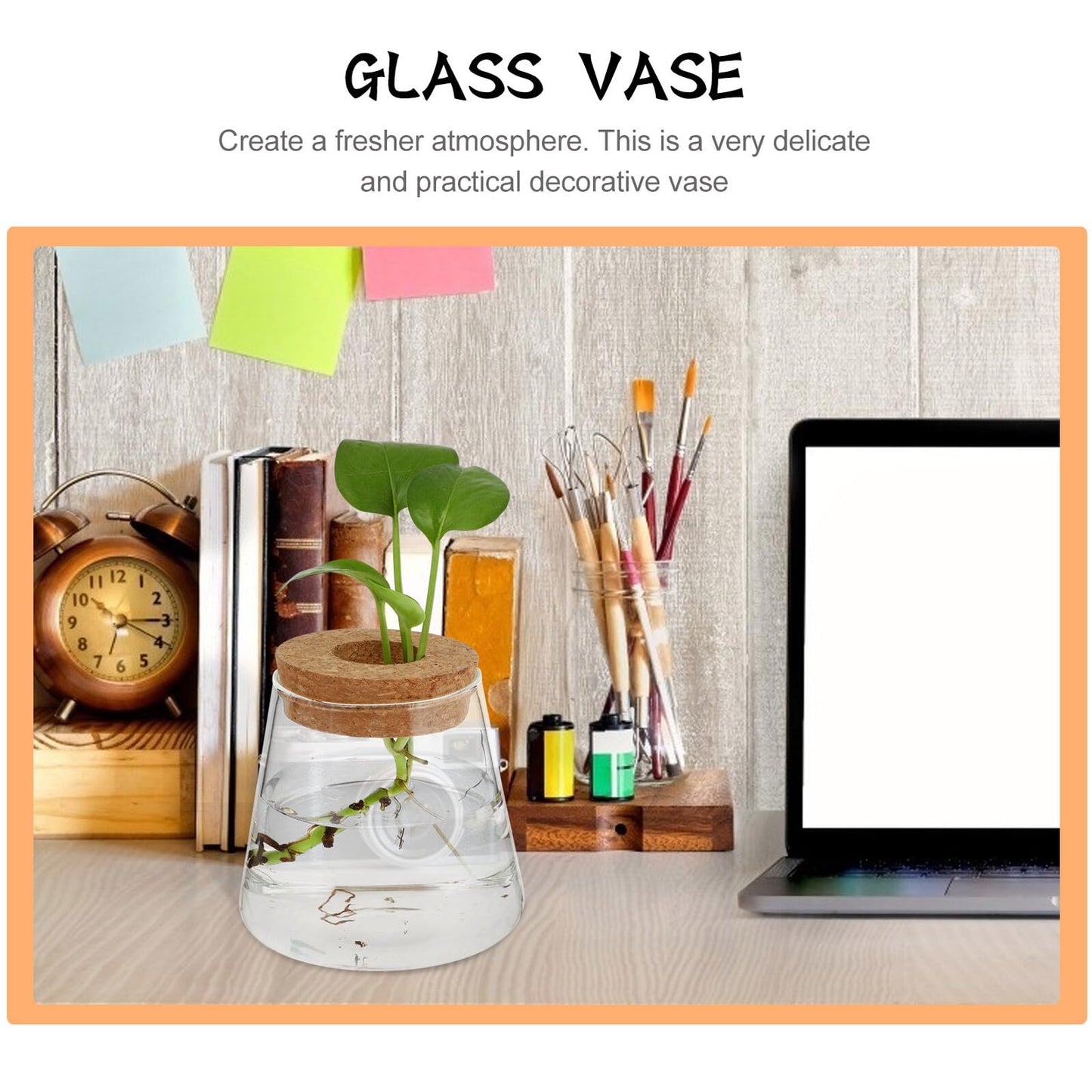 Healifty 2pcs Hydroponic Glass Planter Vases 6.5cm Mouth Diameter Glass Terrarium Plant Containers for Home Office Garden Decoration