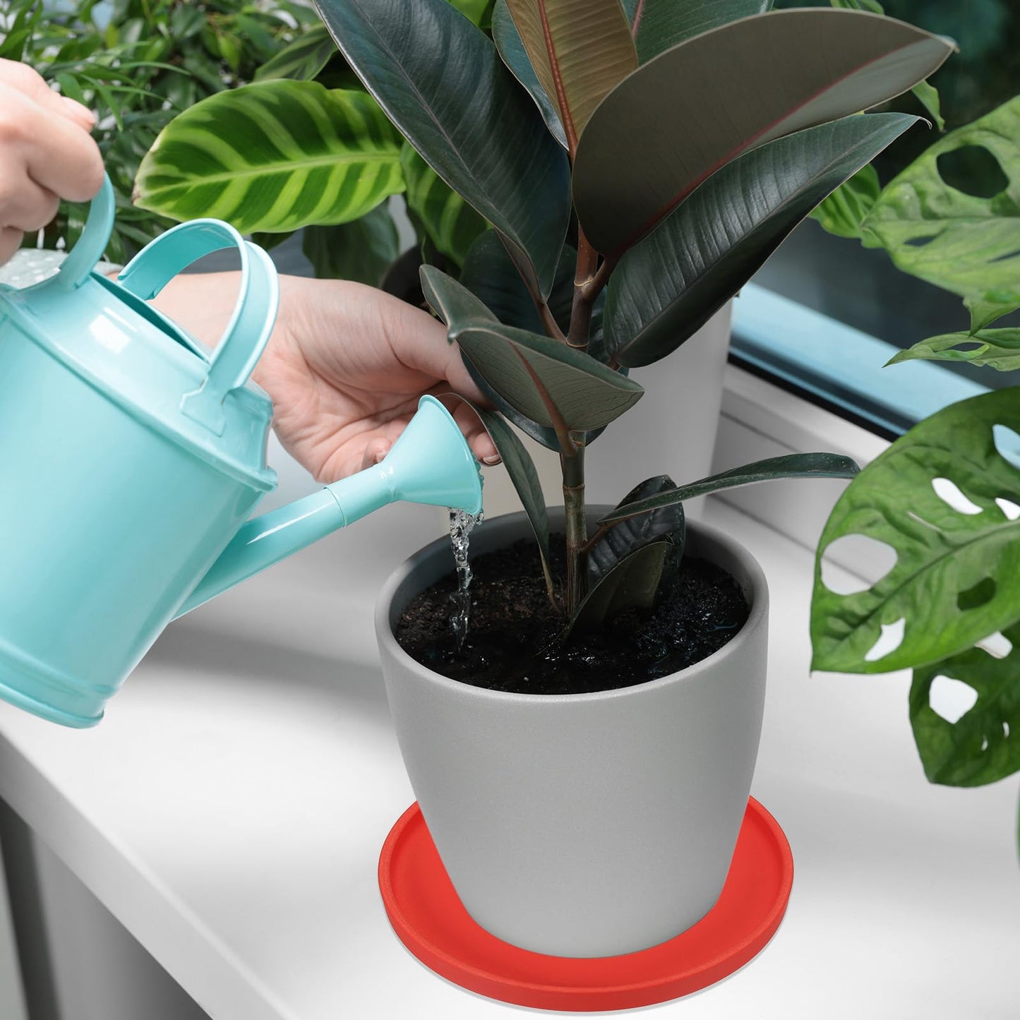 PATIKIL 7.7 Inch Round Ceramic Plant Saucer, Plant Saucer Tray Flower Planter Drip Tray for Indoors Outdoors Patio Balcony, Black