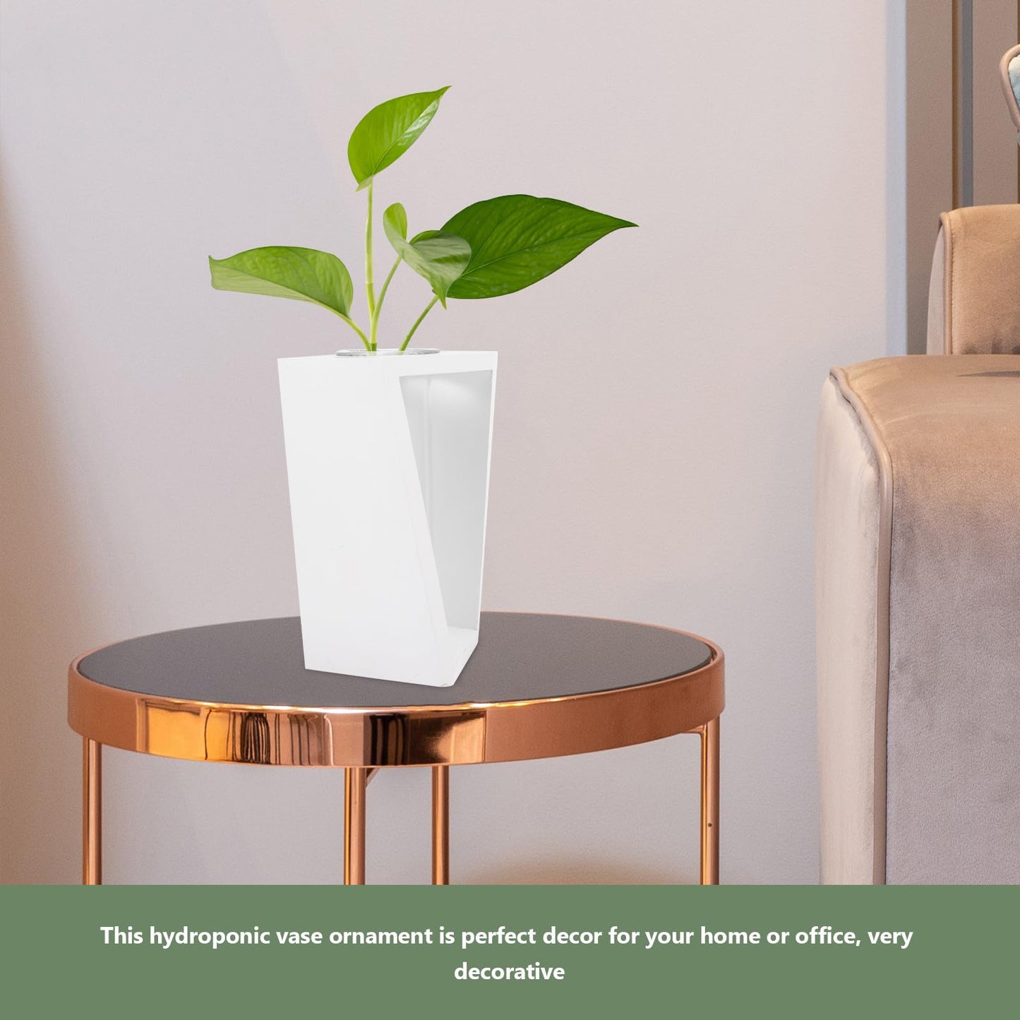 BESPORTBLE Hydroponic Plant Vase with White Wooden Rack, Glass Test Tube Propagation Station for Indoor Wall Garden, Small Terrarium Kit for Home and Office Décor