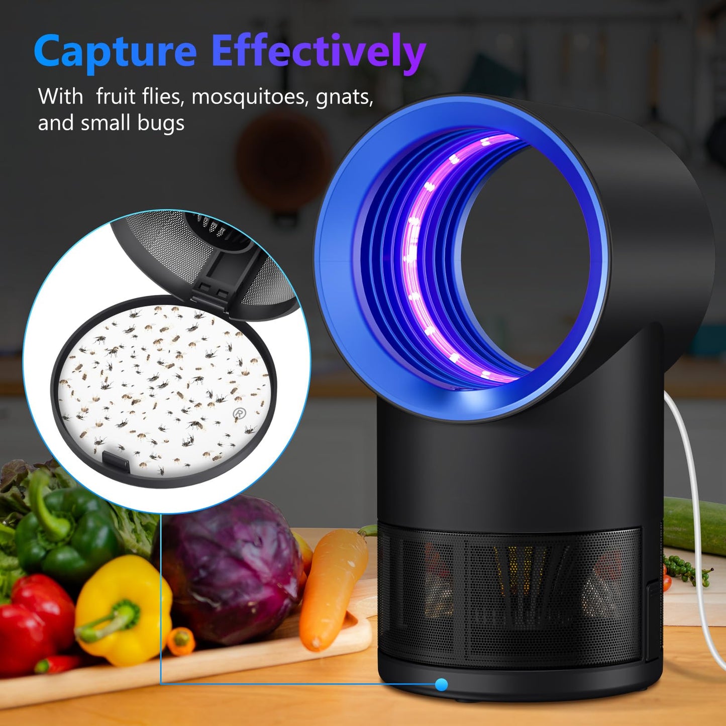 Fruit Fly Trap for Indoors, Fly Traps for Home Gnat Traps House Indoor, Indoor Insect Trap with Timer, Pack of 10 Refills (Blue)