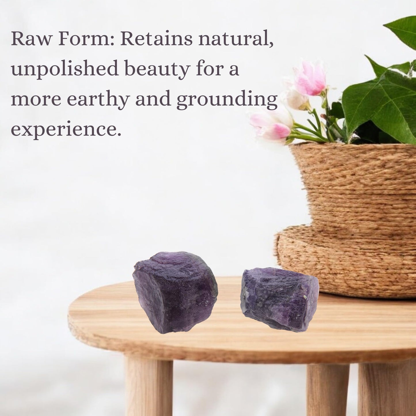 ANAYA AGATE Purple Fluorite 2 Pcs Raw Crystals Rough Gemstones w/Authenticity Card, Velvet Pouch - Large 1.25–2.0" Raw Stones for Tumbling, Cabbing, Polishing, Cutting Natural Healing Crystals for Home Decor, DIY Stones