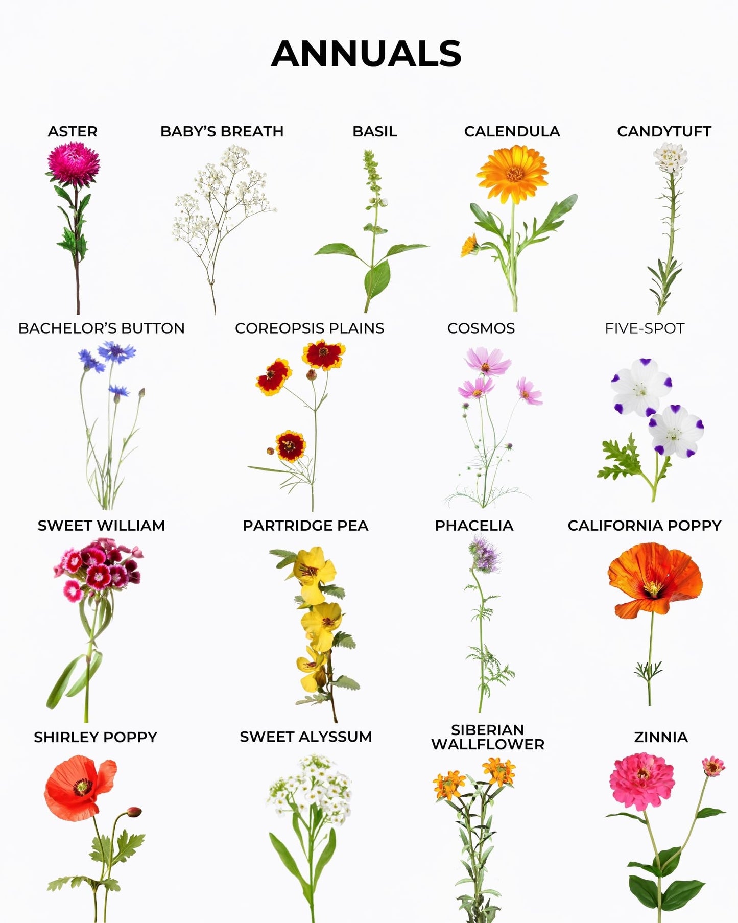 Tactiko Garden 26 Wildflower Seeds Mix, 120,000+ 4 oz Save the Bees Wildflower Garden Seeds, Annual & Perennial Pollinator Seeds to Attract Bees, Butterflies & Hummingbirds, Up to 600 sq ft Coverage