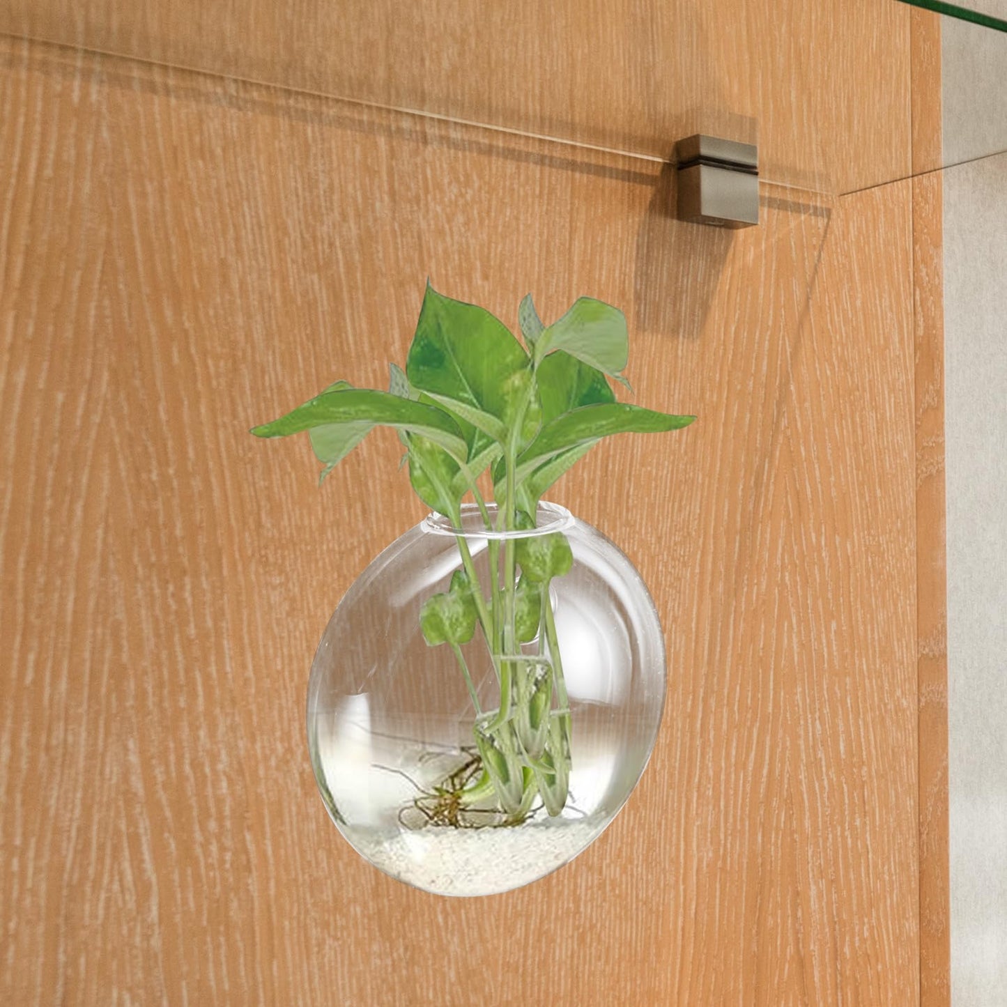 TOPPERFUN Wall Hanging Planter Glass Vase for Hydroponics Plants Small Glass Terrarium Vase Indoor Wall Flower Decor 1pcs