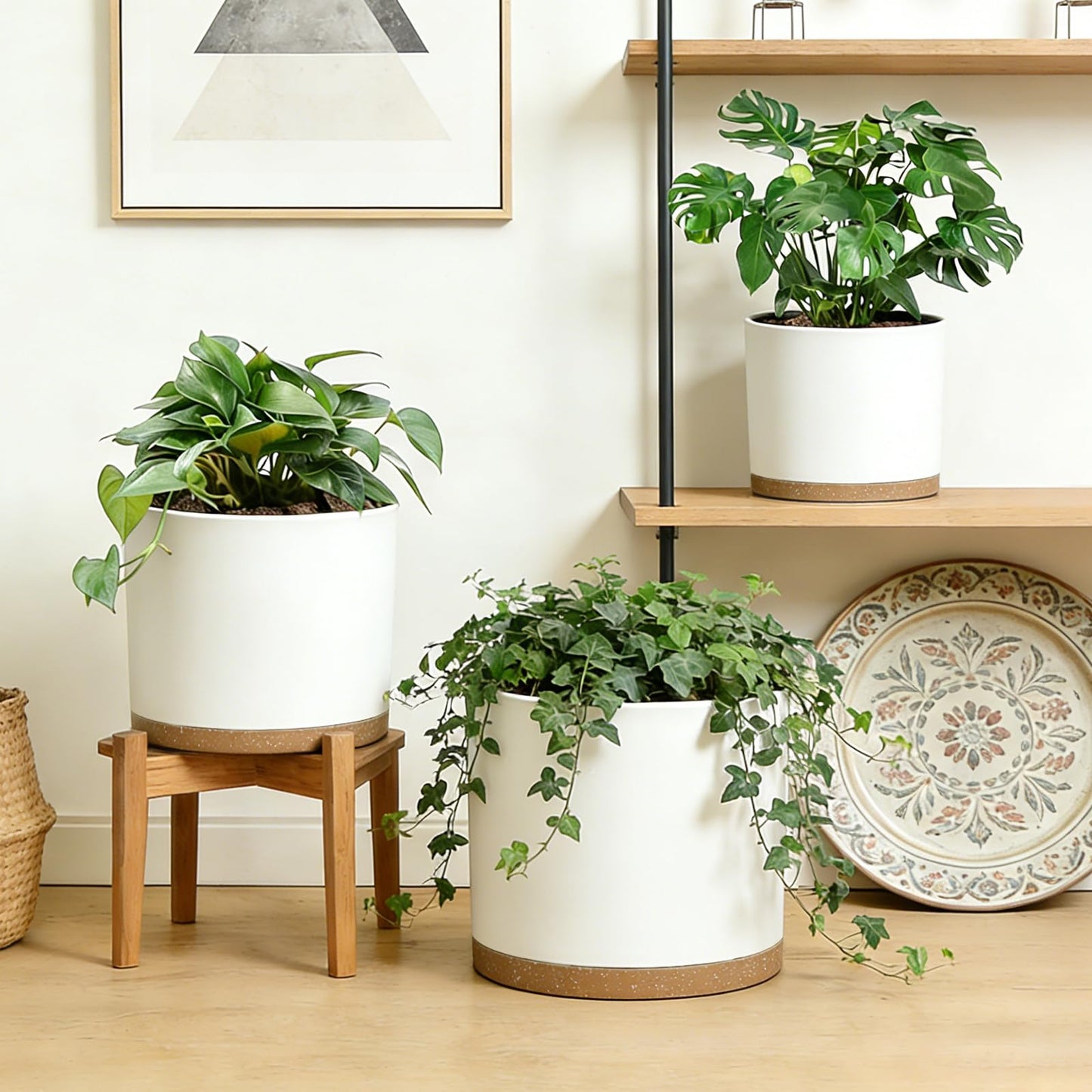 DGJDLWHX Large Plant Pots Set of 3 – 8", 9", 10" Indoor Flower Pots with Drainage Holes and Saucers, Big Planters for Monstera, Fiddle Leaf Fig, Snake Plant – 5 Colors