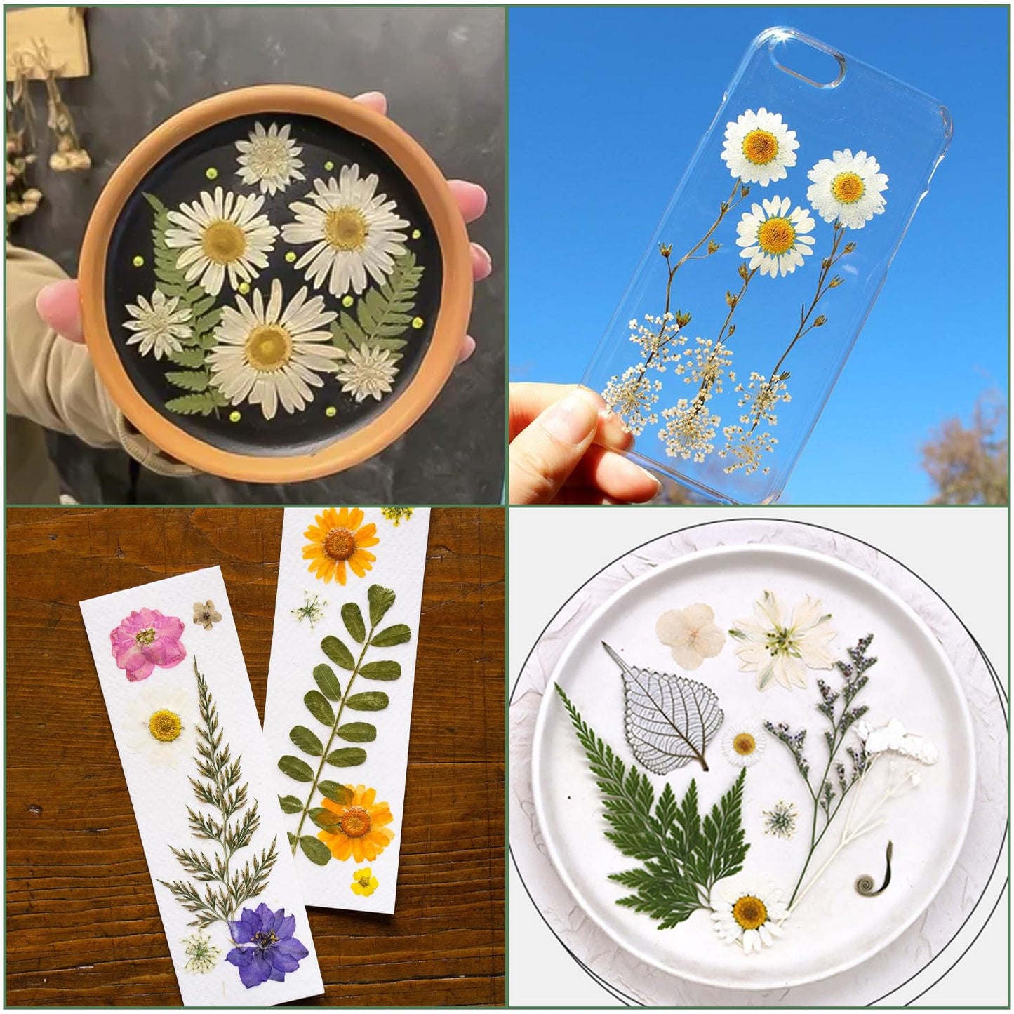 204 Pcs Dried Pressed Flowers for Resin Crafts, Real Natural Pressed Flowers and Leaves Kit Butterfly Stickers Vacuum Sealed Dry Flowers for DIY Epoxy Resin Jewelry Molds, Candle Soap Making, Nail Art