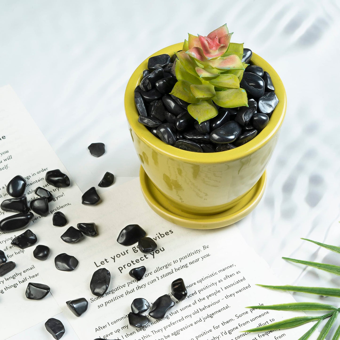 Crocon Polished Black Tourmaline Chips Bulk Natural Stone Raw Gemstone Tumbling Cabbing Polishing Gem Mining Chakra Balancing Reiki and Crystal Healing Good Luck Home Office Décor (1/2 LB)