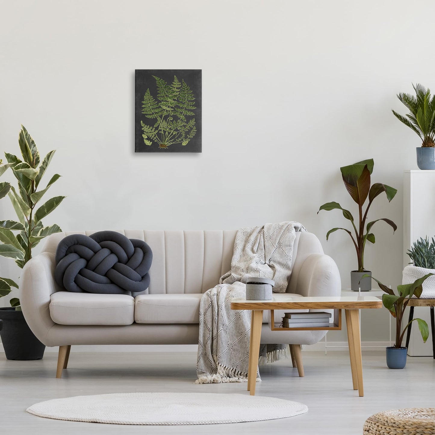 Stupell Industries 'Scientific Botanical Fern Drawing', Canvas Art, 16 x 20 Inches, Easy to Hang and Sturdy, Made in USA, by Lettered and Lined
