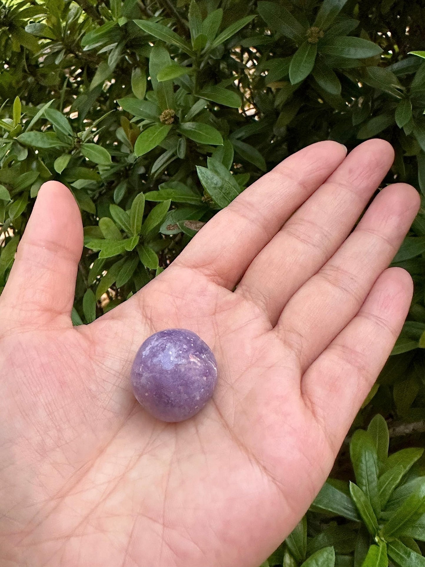 GAF TREASURES 5 Pcs Lepidolite Tumbled Stones, Polished Lepidolite Gemstone, Lepidolite Healing Crystals (Lepidolite)