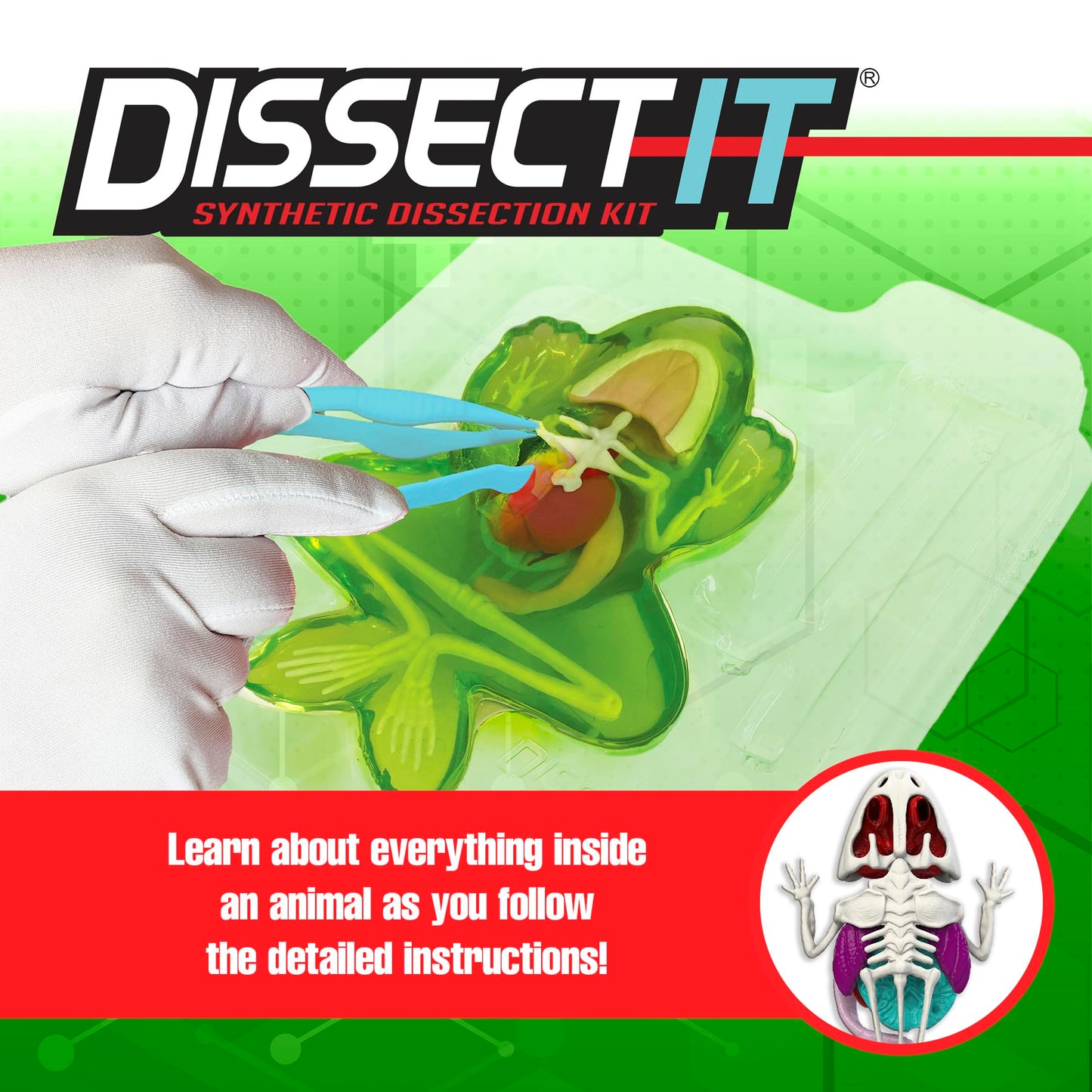 Top Secret Toys Dissect It Kit for Kids, Synthetic Dissection Kids Science Kit to Learn Animal Anatomy, Biology, STEM Frog Toys, Ages 6 and Above
