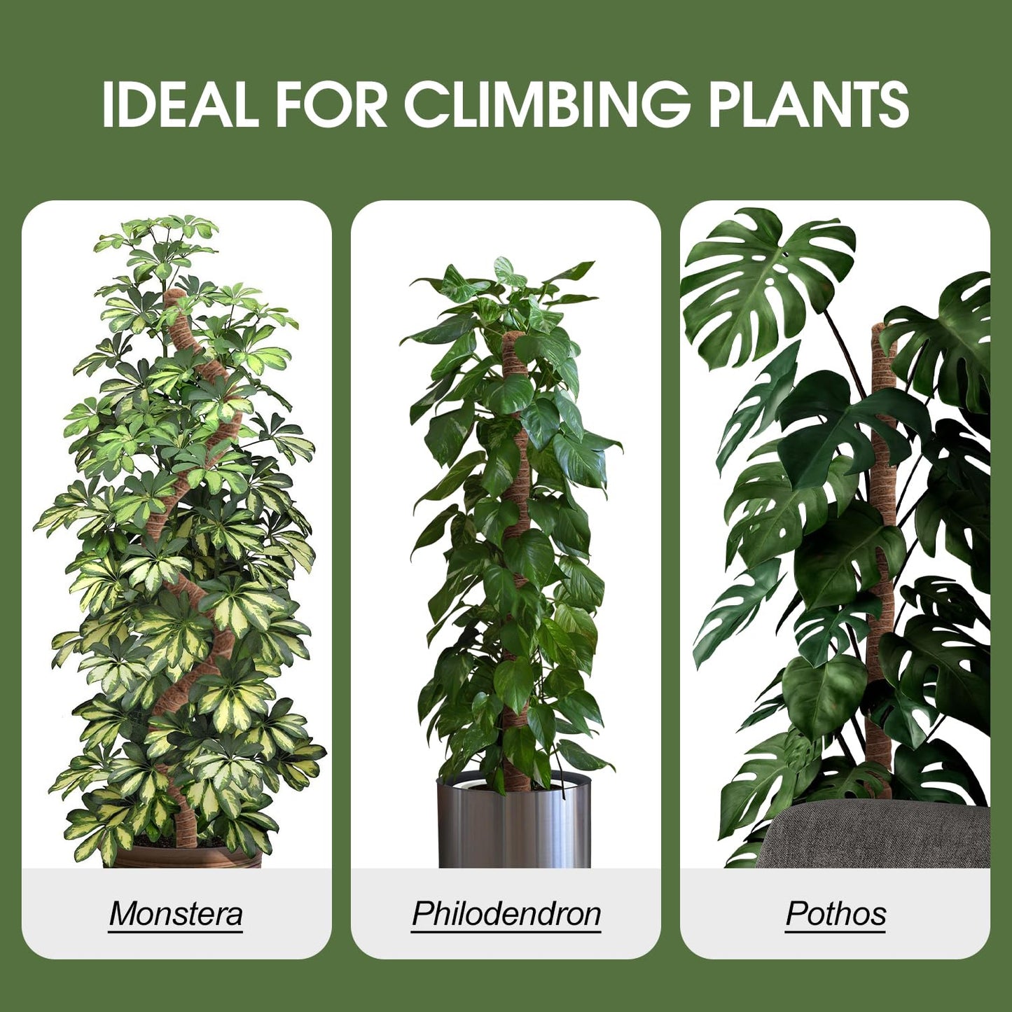 3 Pack Moss Pole, 50 Inch Moss Poles for Climbing Plants Stakes Indoor Monstera Support Tall Large Bendable Long Coco Coir DIY for Potted Plants, Pothos, Philodendron