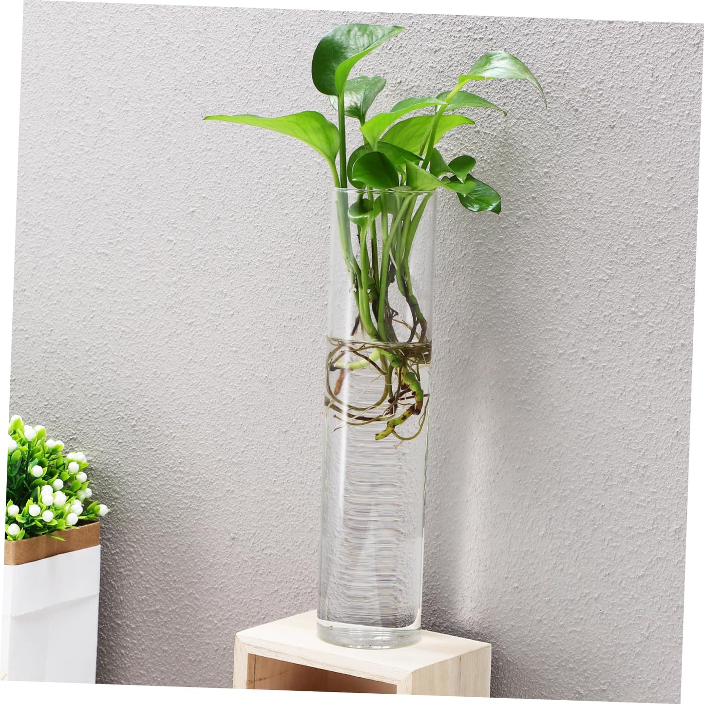 Zerodeko 2pcs Clear Glass Cylinder Wall Vases Sleek Hanging Glass Planters for Hydroponic Terrarium Plants Transparent Wall Mounted Floral Holders with Streamlined Design for Home and