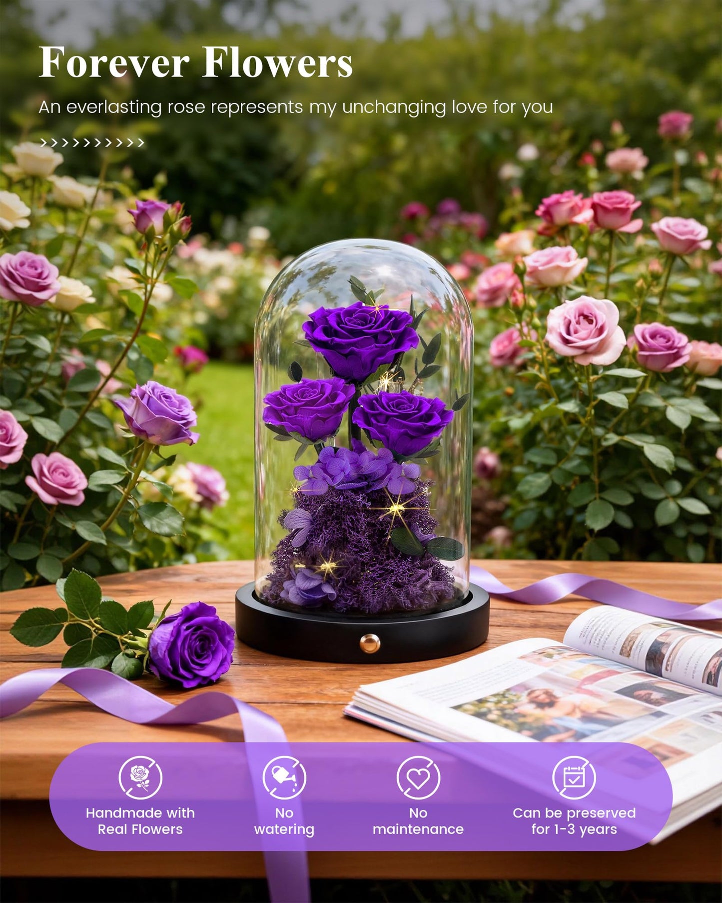 Agrul Mothers Day Flowers Roses Gifts for Mom,Forever Preserved Flower Rose in Glass Dome Fresh Flowers for Delivery Mothers Day Roses Gifts for Wife Women Mom Grandma from Daughter/Purple Rose