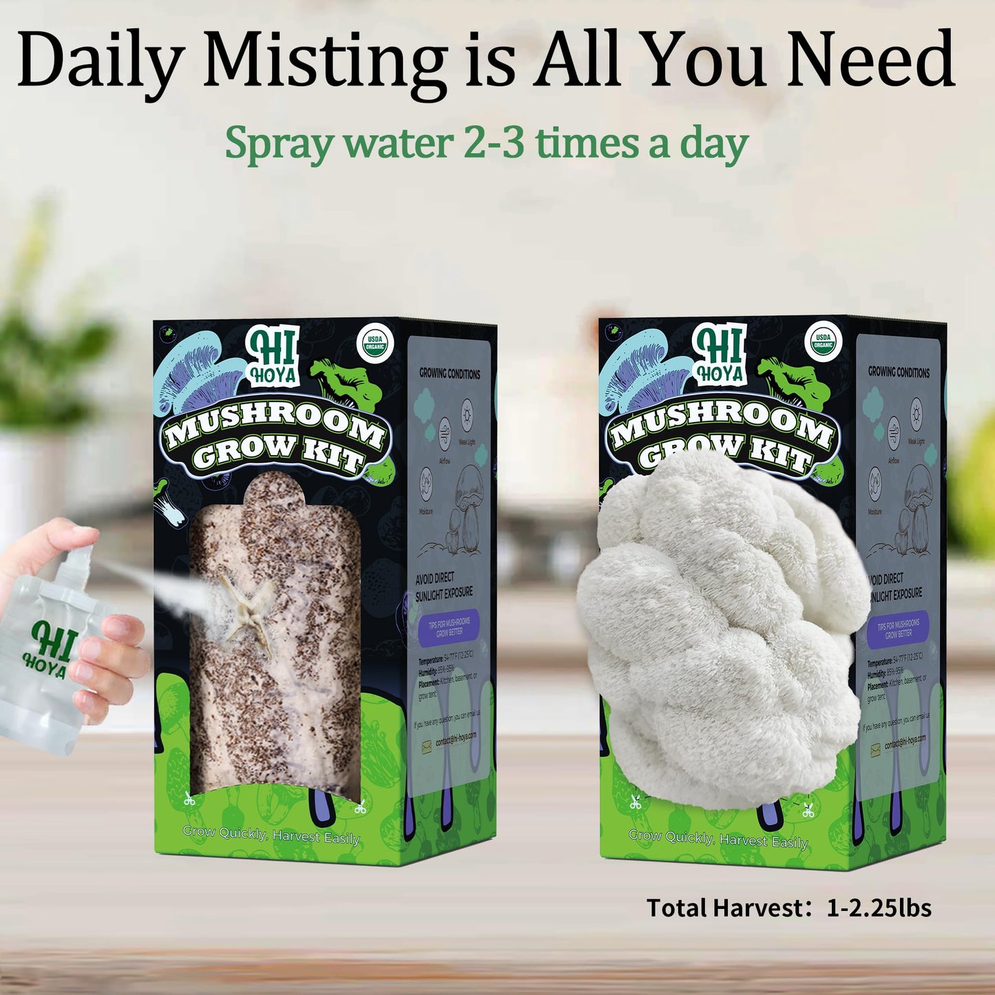 Organic Mushroom Growing Kit, Lion's Mane Mushroom Grow Kit with All Accessories, Grow Fresh Edible Mushrooms Indoor, USDA Certified Organic, Non-GMO, Easy to Grow at Home