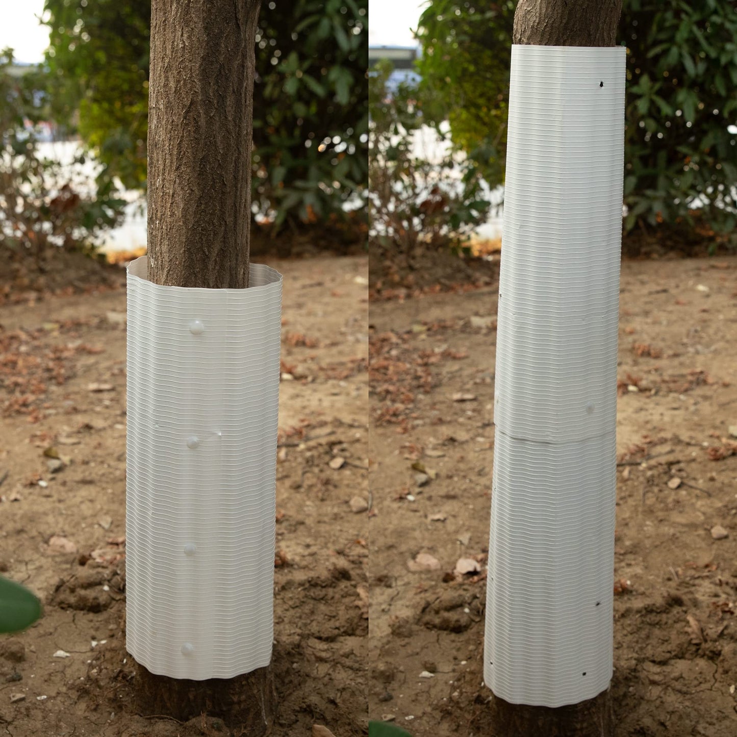 8pcs Expandable Tree Guards,Flexible Tree Bark Protector,Tree Trunk Protector Tubes Wraps to Protect Saplings Plants from Weed whackers, Trimmers, and Animals (8)