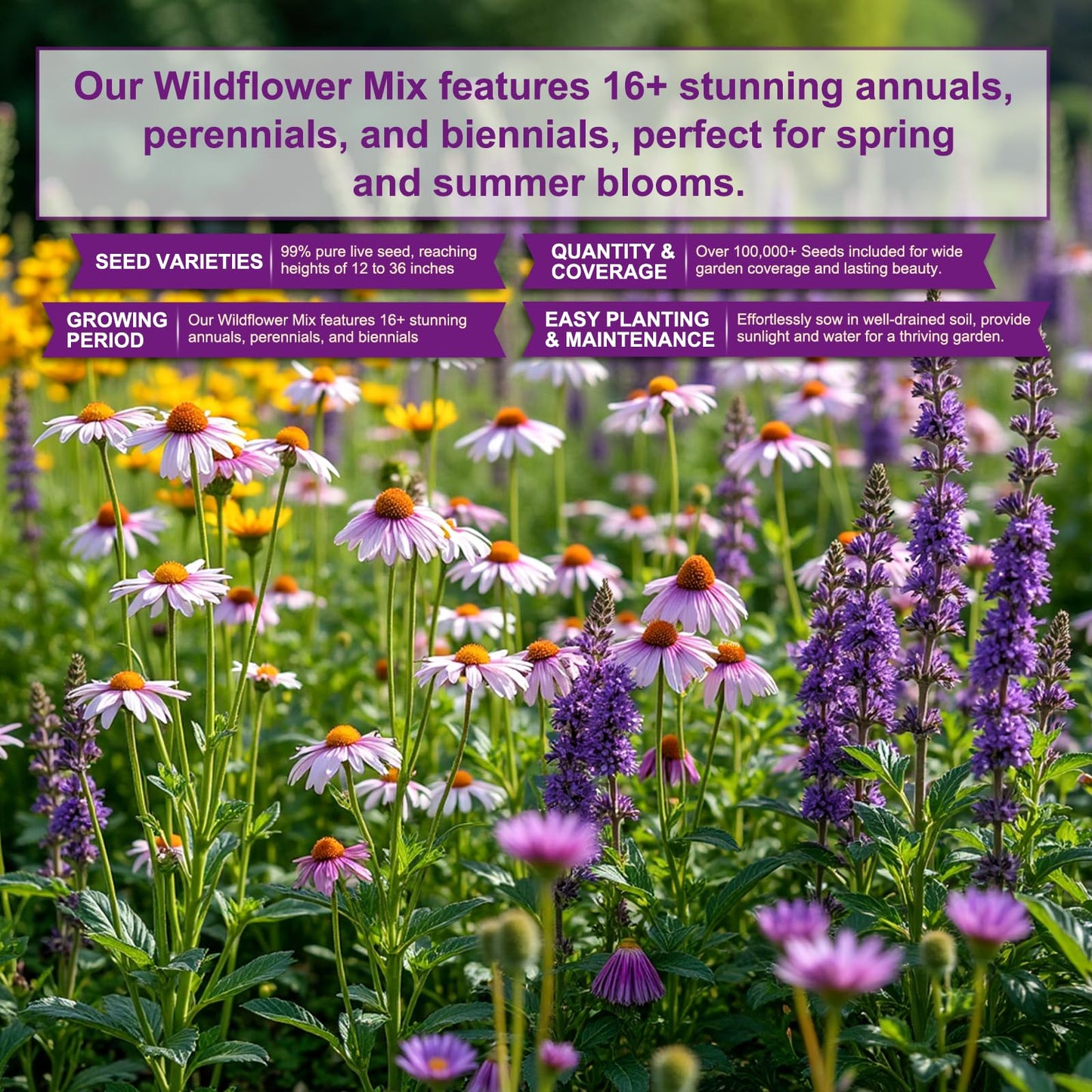 200,000+ Wildflower Seeds [4oz] 16 Variety Perennial Mix - Heirloom Seeds for Pollinator Gardens | Attracts Bees/Birds/Butterflies | High Germination Rate for Indoor & Outdoor