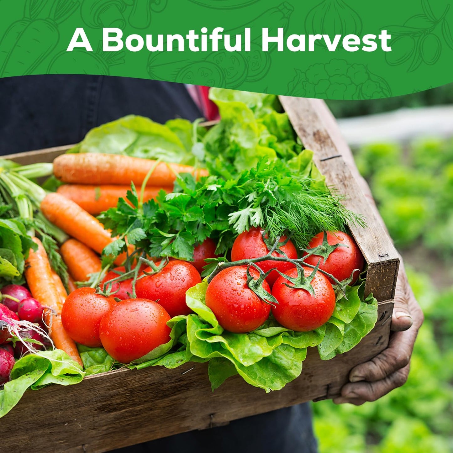 PLANTMEW 30 Heirloom Vegetable Seeds for Planting, 12,000+ Garden Seeds - Vegetable, Herb, Fruit Seeds - Survival Seed Vault with Tomato, Basil, Lettuce, Bean, Pepper, Squash and More