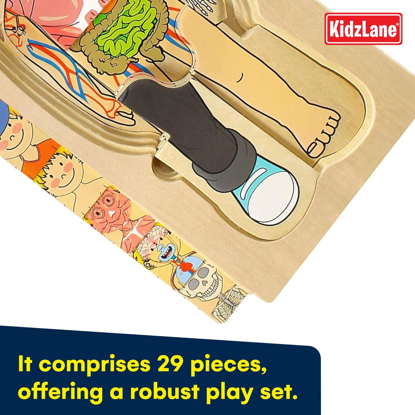 Kidzlane Boy Wooden My Body Puzzle for Toddlers & Kids - 29 Piece Boys Anatomy Puzzle Kid Play Set - Anatomy for Kids, Skeleton Toys for Children Ages 3 Plus