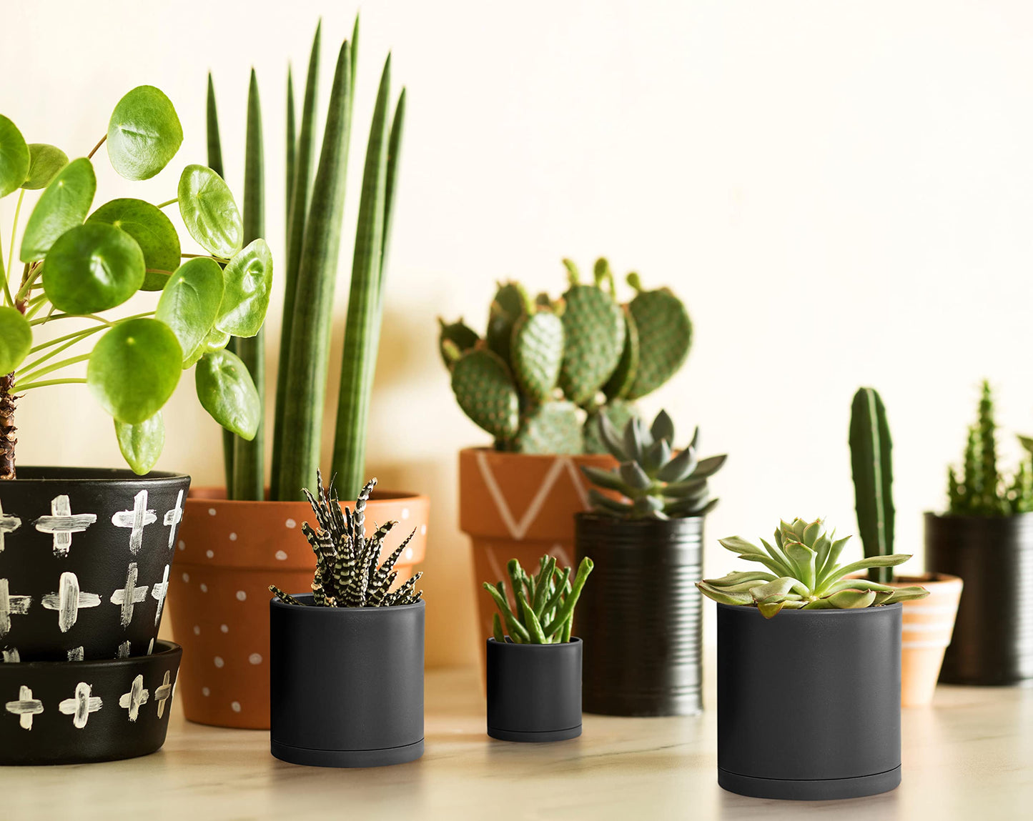 D'vine Dev Pack of 20 Plastic Plant Pots (4 Set of 2 Inch, 2.5 Inch, 3 Inch, 3.5 Inch, 4 Inch) Small Garden Planter Pots for Plant with Drainage Holes and Saucers, Black, 74-U-B